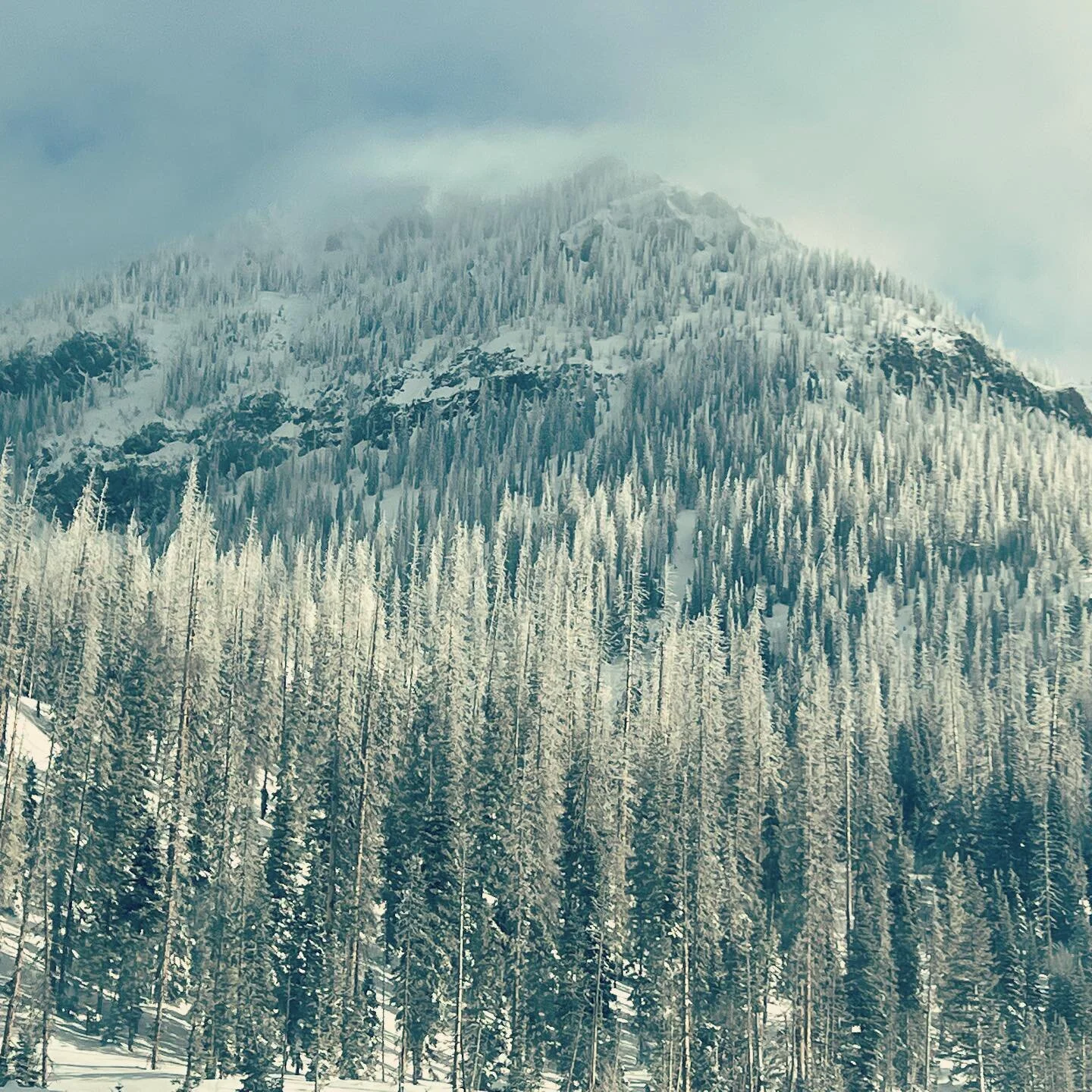 @visitpagosa #wintereonderland