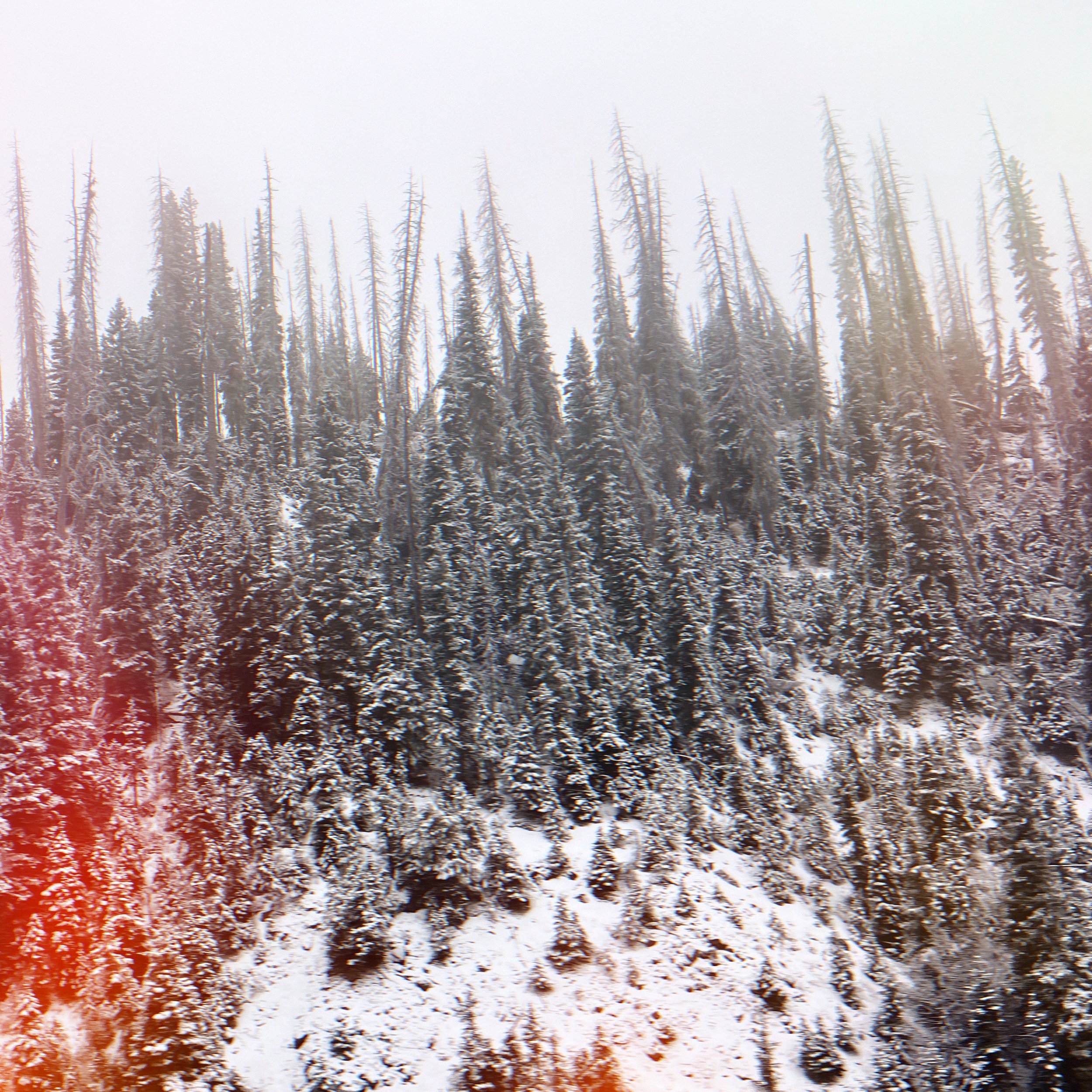 26C4E904-6B24-41DA-9D66-45690FB5E951.jpeg