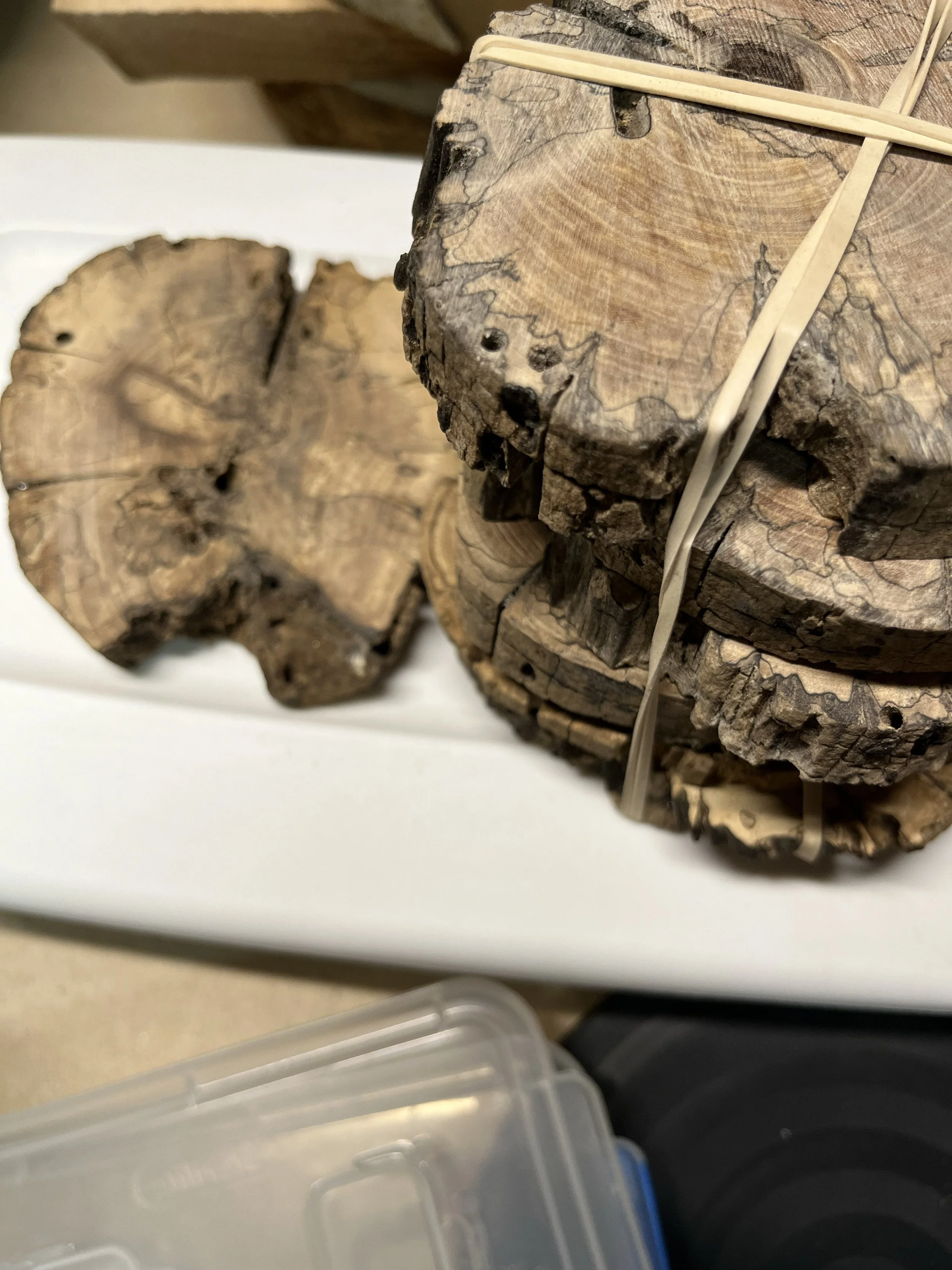 Coasters or ornaments.jpg