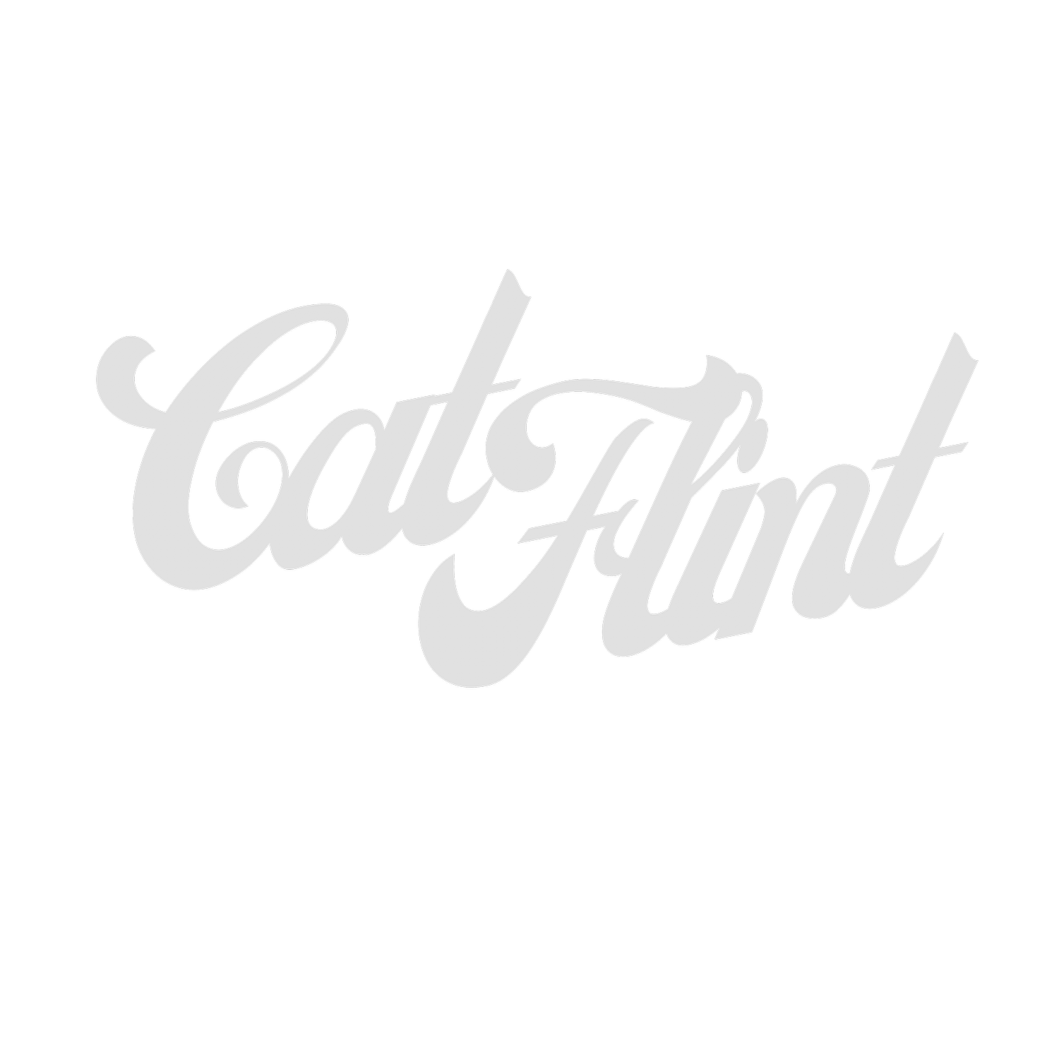 Cat Flint