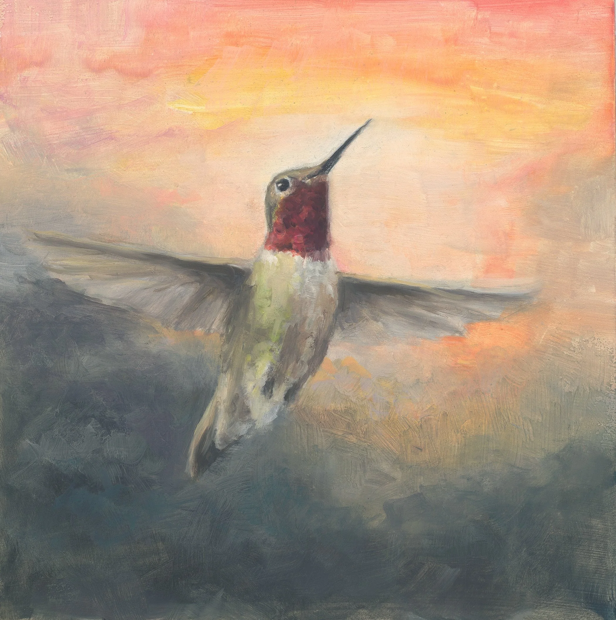 Ruby-throated Hummingbird.jpg