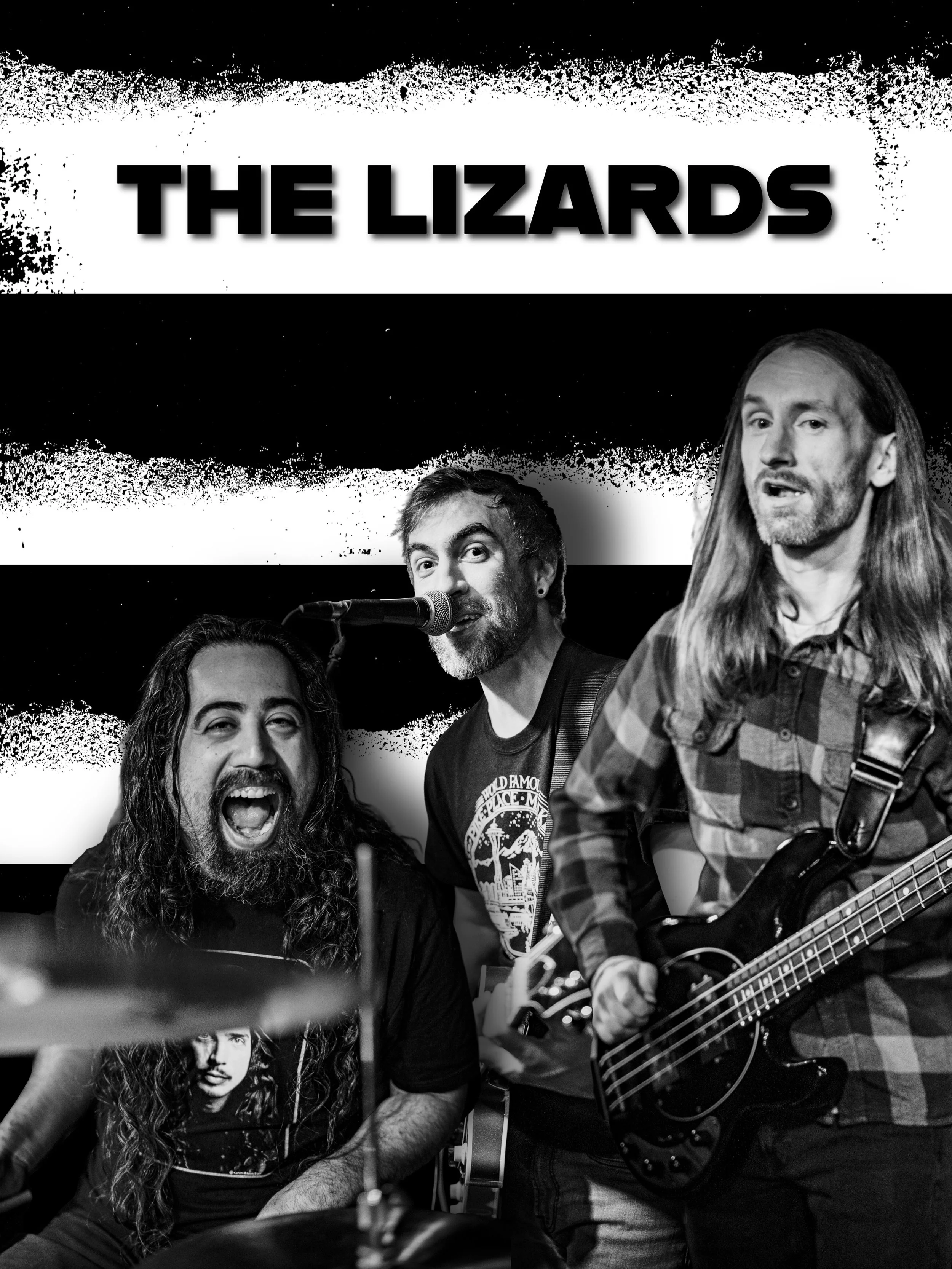 The Lizards 