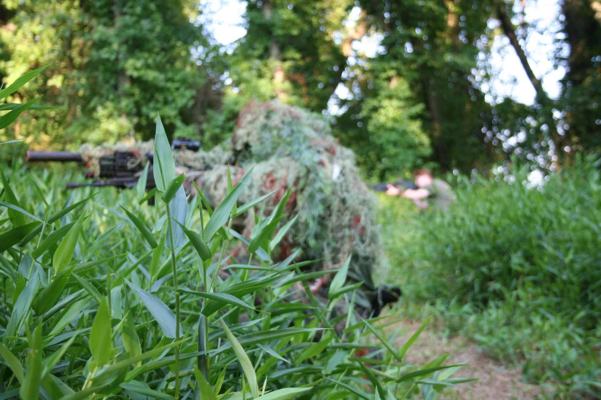 Blurred background.jpg