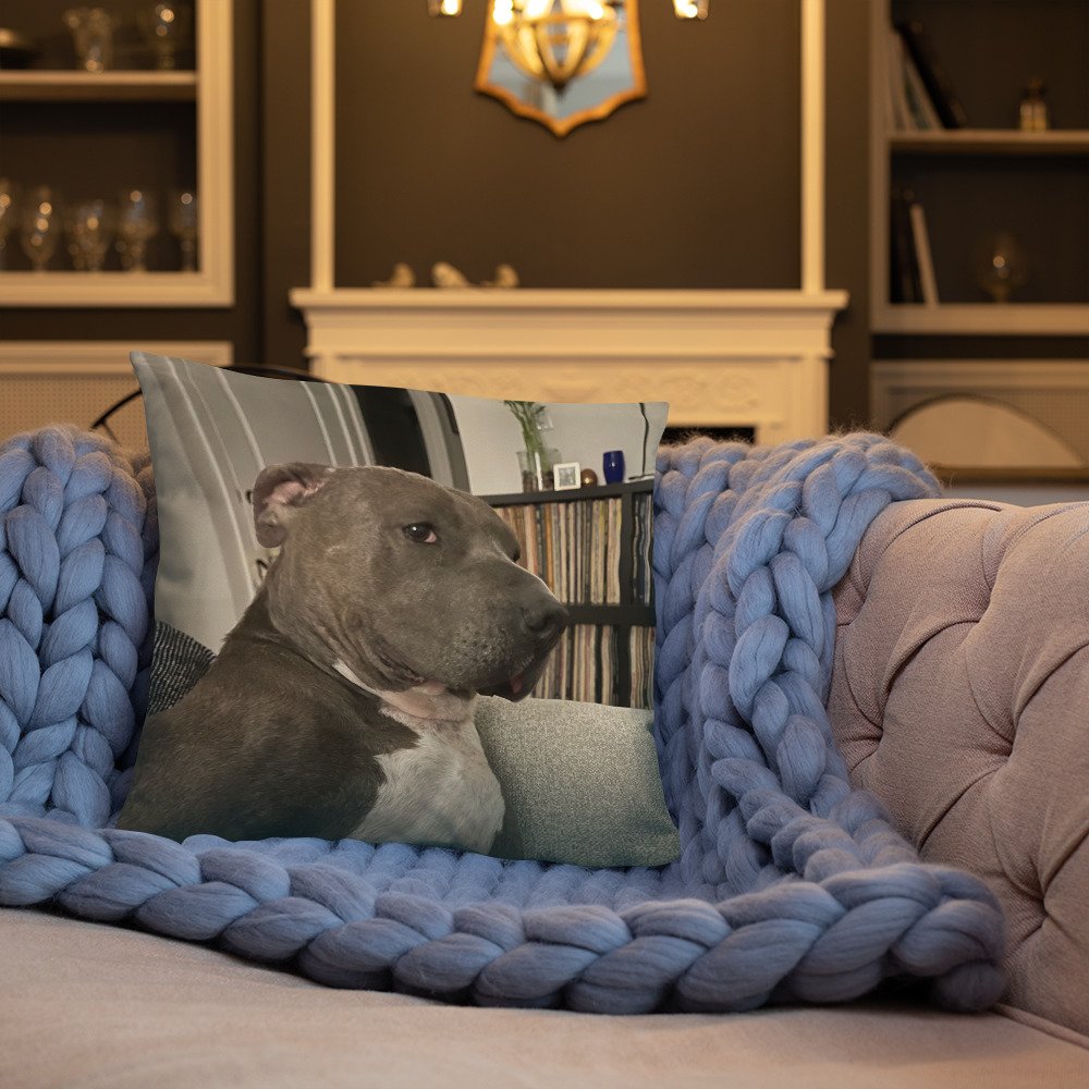 all-over-print-basic-pillow-18x18-front-lifestyle-3-65f60f1b5b12d.jpg