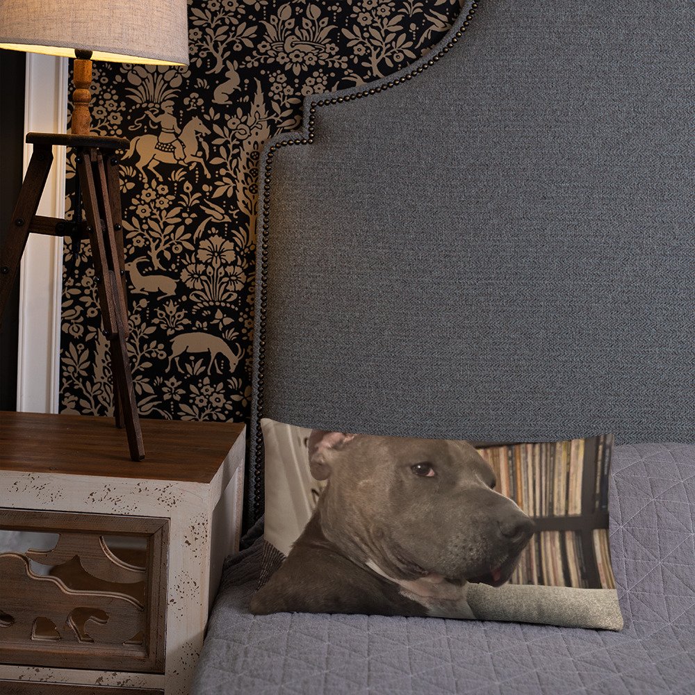 all-over-print-basic-pillow-20x12-front-lifestyle-2-65f60f1b5b6b6.jpg