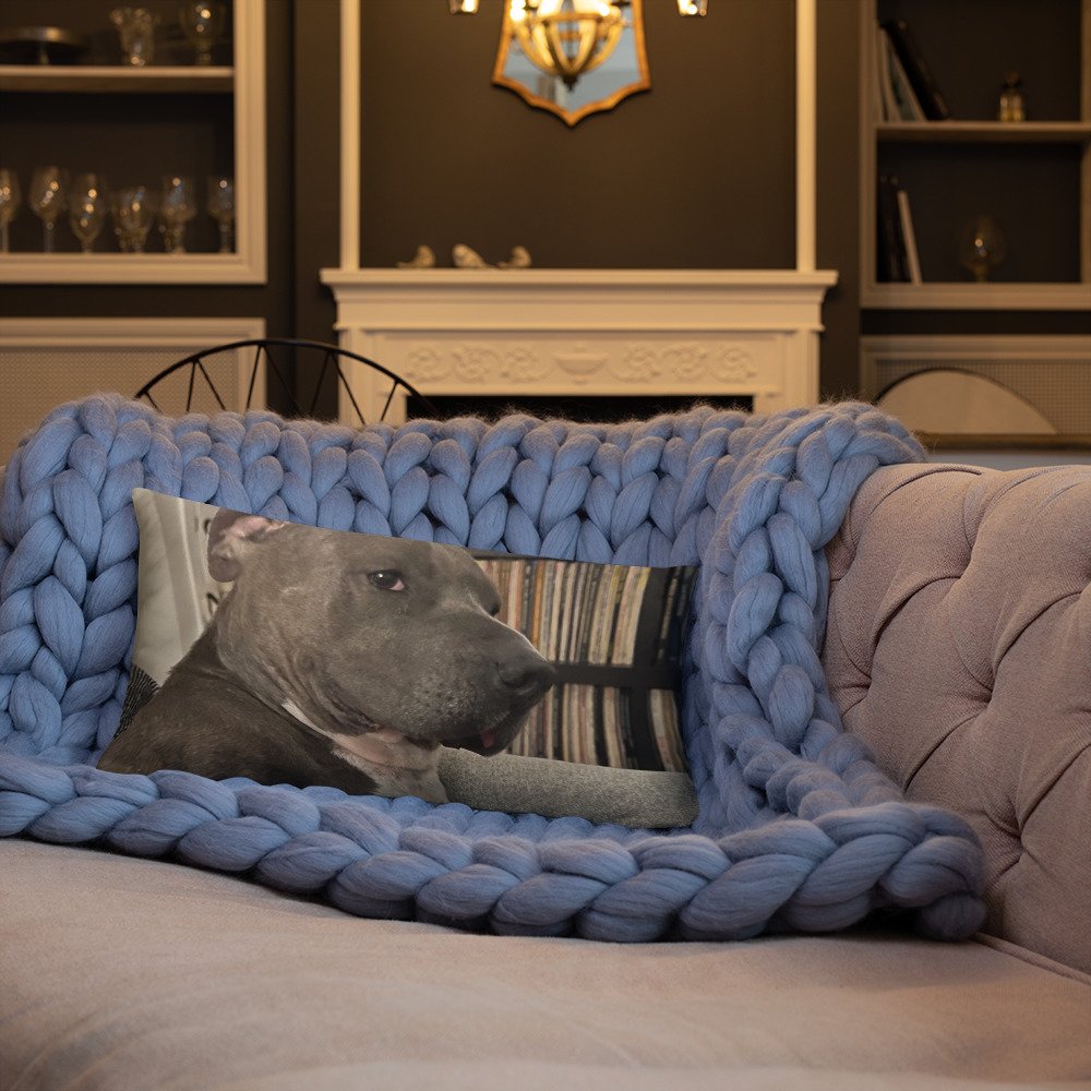 all-over-print-basic-pillow-20x12-front-lifestyle-3-65f60f1b5b70e.jpg