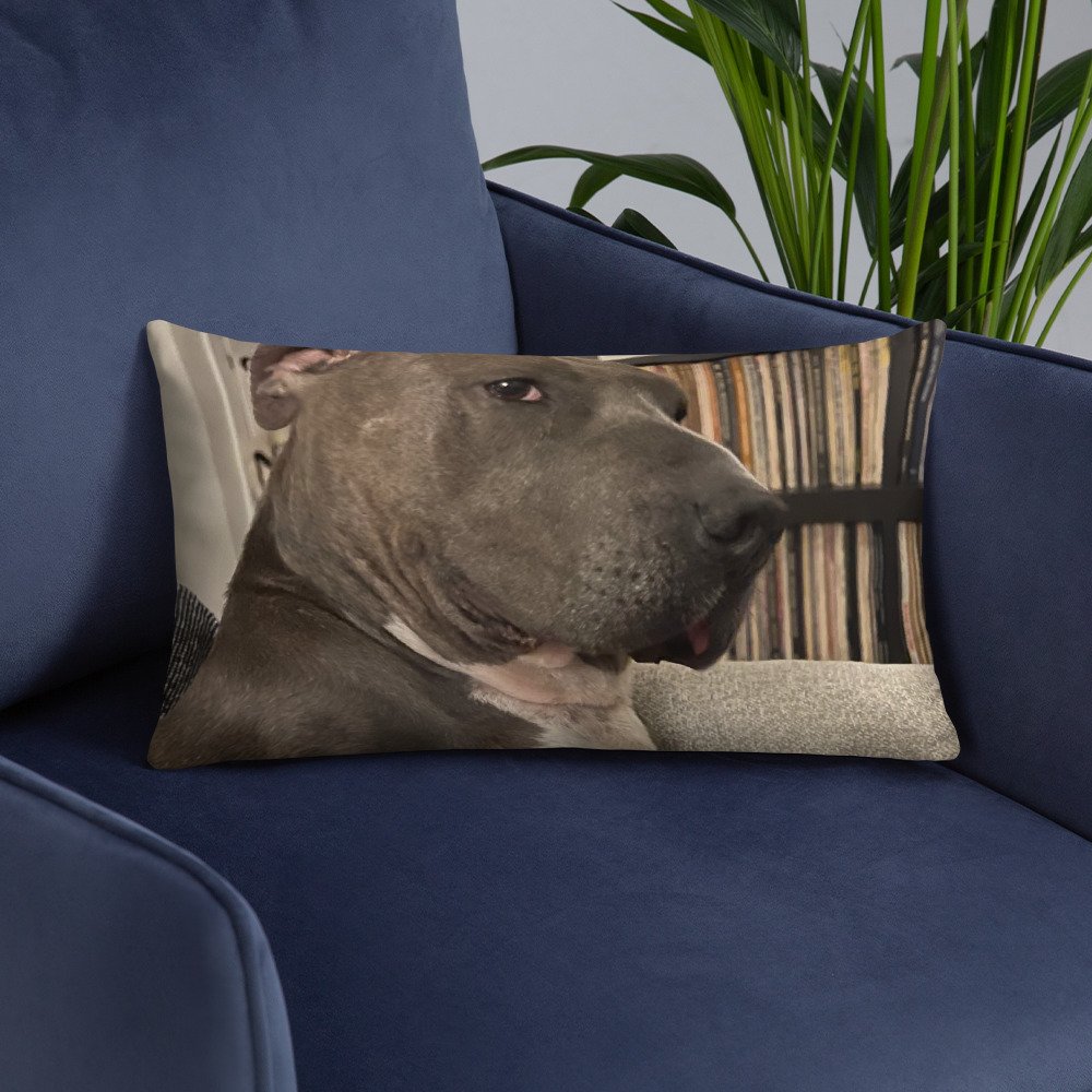 all-over-print-basic-pillow-20x12-front-lifestyle-6-65f60f1b5b7f3.jpg