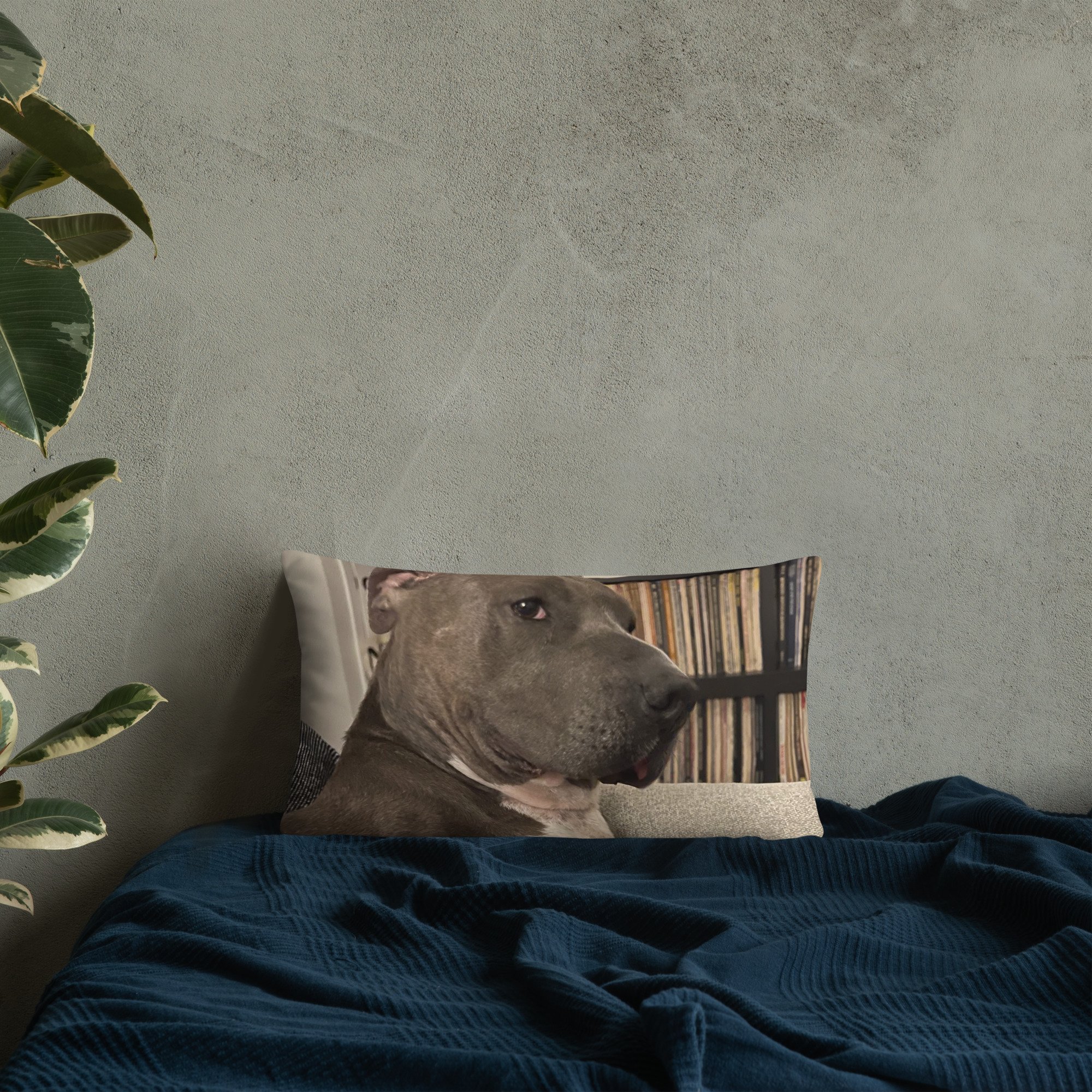 all-over-print-basic-pillow-20x12-front-lifestyle-8-65f60f1b5b853.jpg