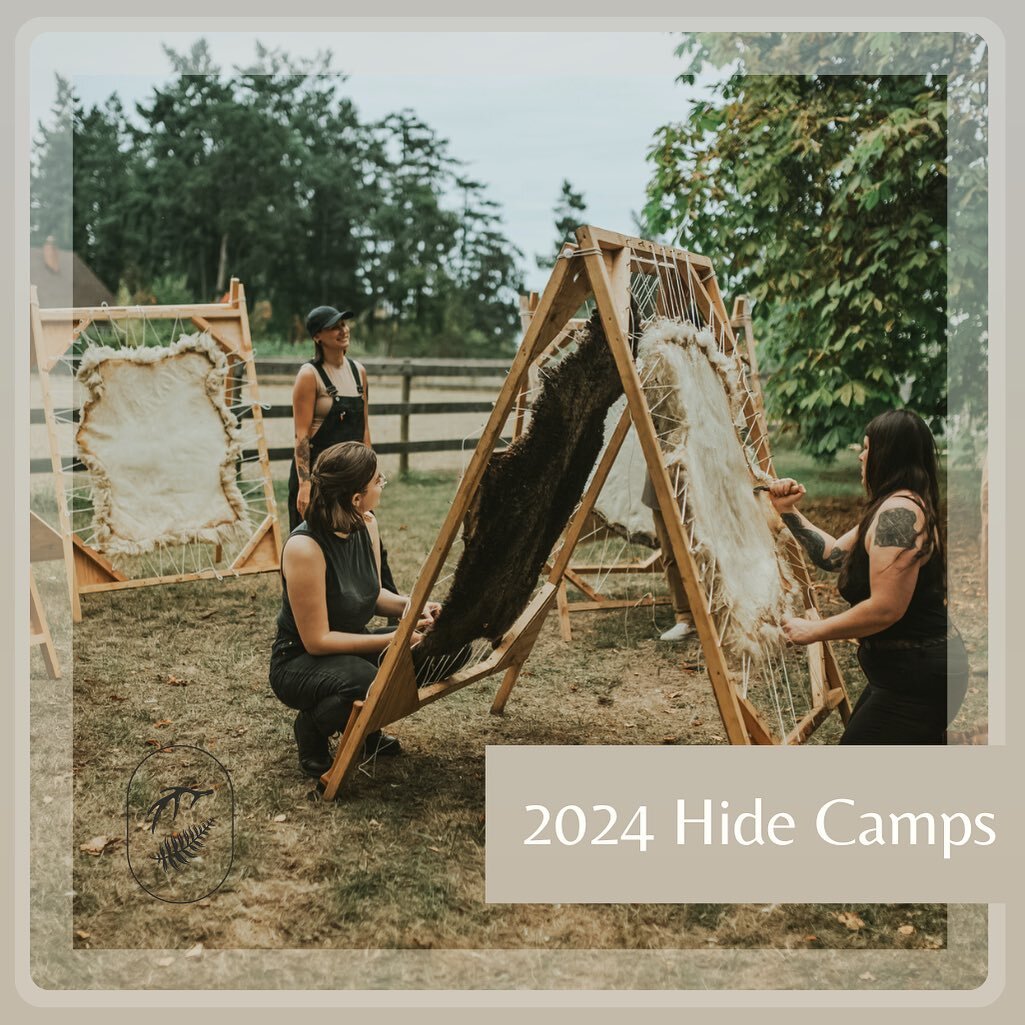 Hands-on, embodied courses | tanning hides with the essentials of smoke, bark, fat, + mineral.

This season, almost all public courses are at home, at sweet @annethfarm on the WSANEC Peninsula, Vancouver Island. And this means, yall can come camp on-