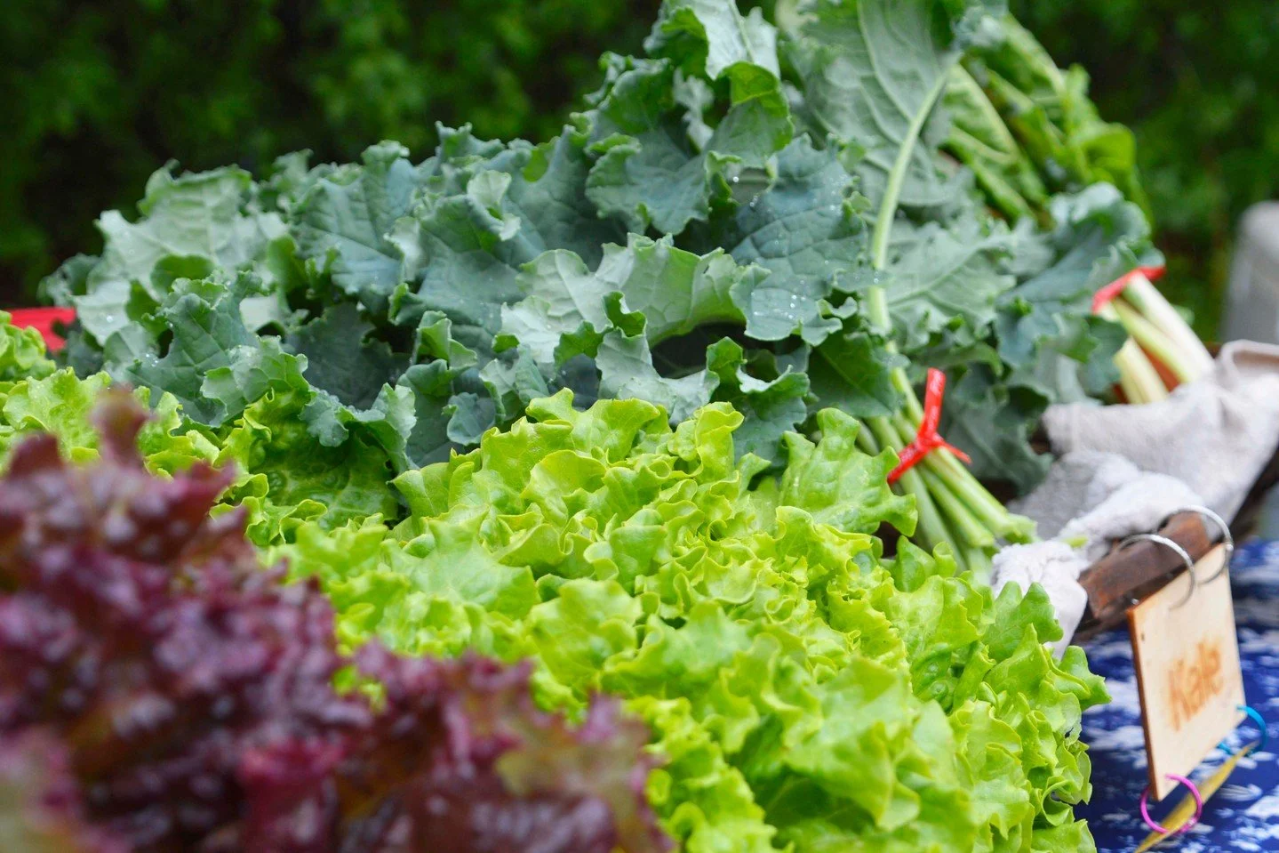 🍅 Happening now! Stop by the @raviniafarmersmarket from 7 AM - 1 PM every Wednesday through October 29 at Jens Jensen Park (540 Roger Williams Ave.) 

🥑Each Wednesday, market vendors offer a variety of local and organic seasonal fruits and vegetabl
