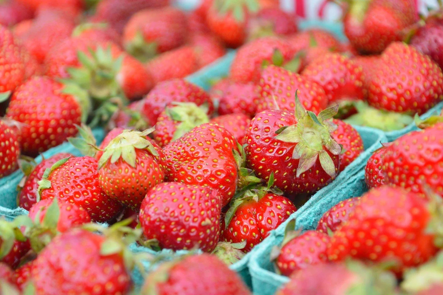 🍅 Happening now! It's the final @raviniafarmersmarket of the season. from 7 AM - 1 PM every Wednesday through October 29 at Jens Jensen Park (540 Roger Williams Ave.) 

🥑Stop by Jens Jensen Park (540 Roger Williams Ave.) from 7 AM - 1 PM. Find mark