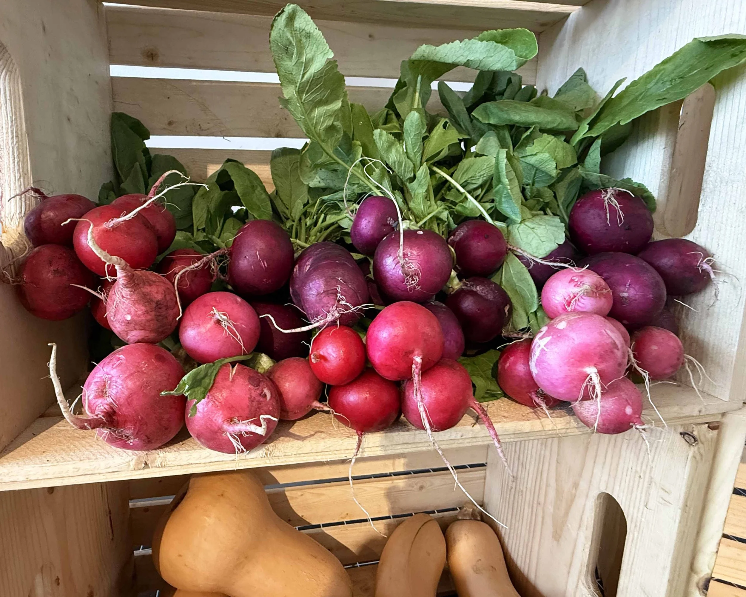 WINTER FARMERS MARKET (7).jpg