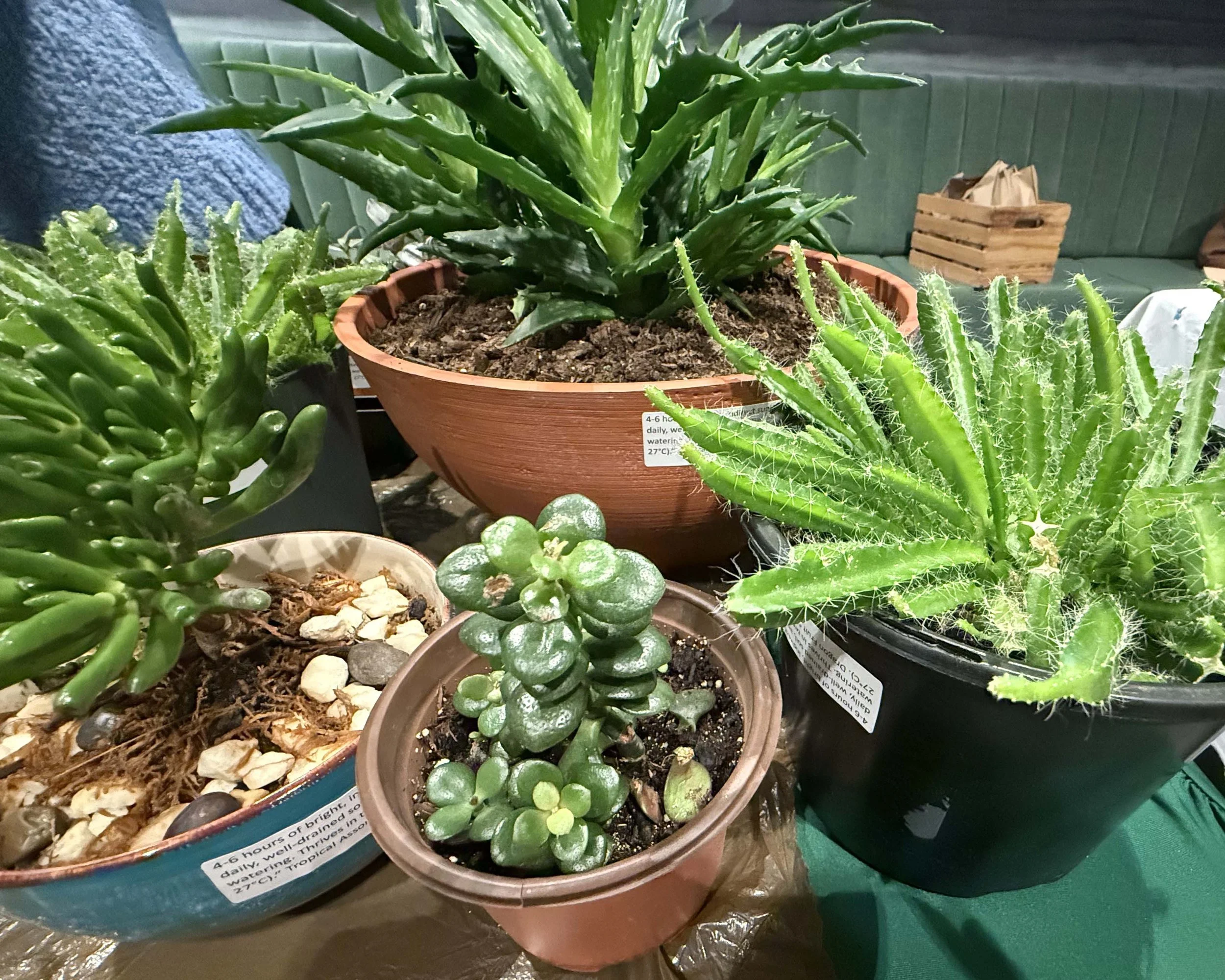 WINTER FARMERS MARKET (9).jpg