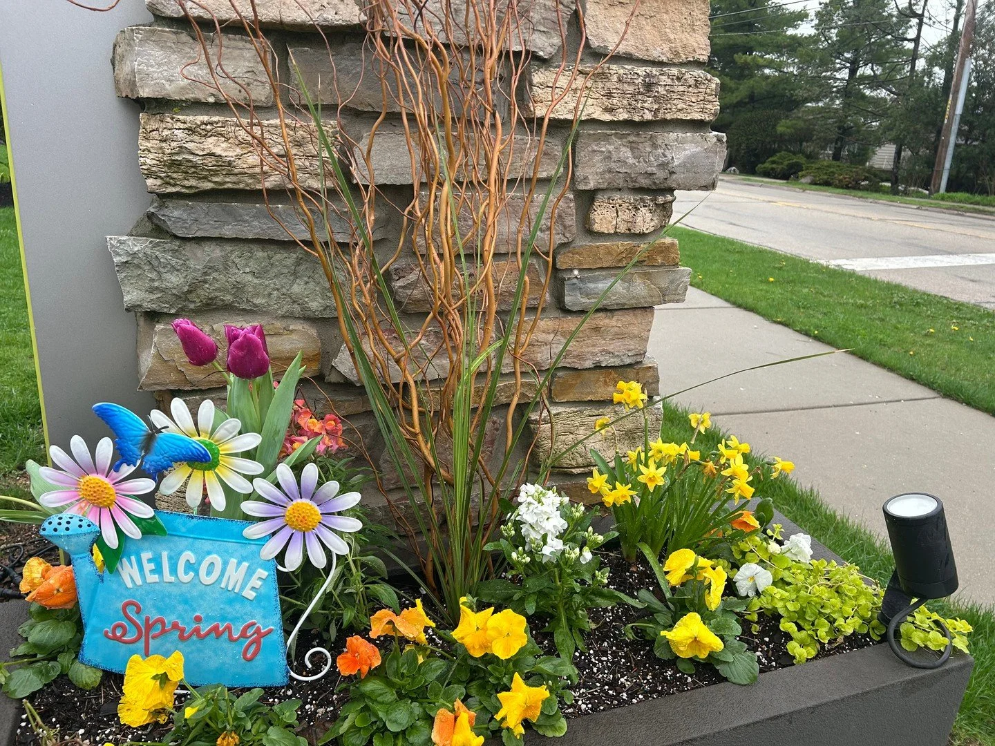 Highland Park is in full bloom 🌿✨

Spring has officially arrived in the Ravinia District, and the streets are looking fresher than ever. New seasonal landscaping and thoughtful touches of decor are bringing color, energy, and that unmistakable sprin