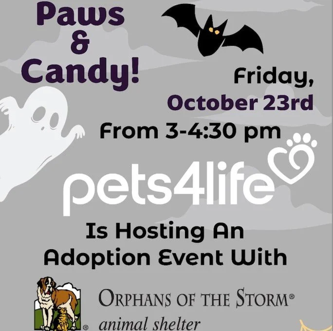 Paws & Candy Adoption Event