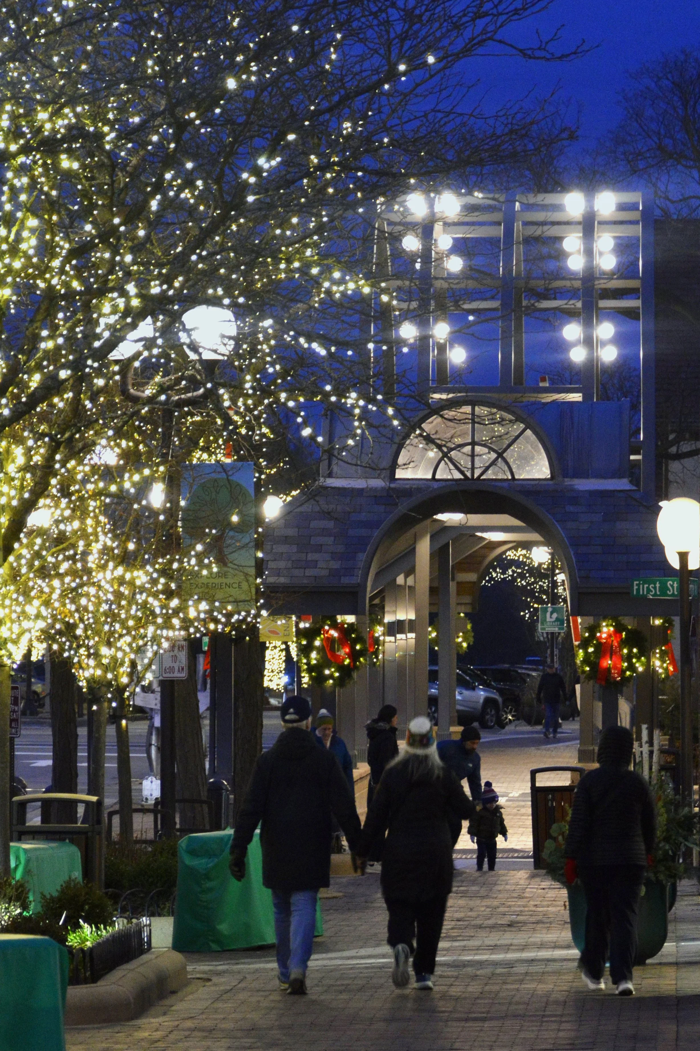 HOLIDAY LIGHTING 2025 (47).JPG