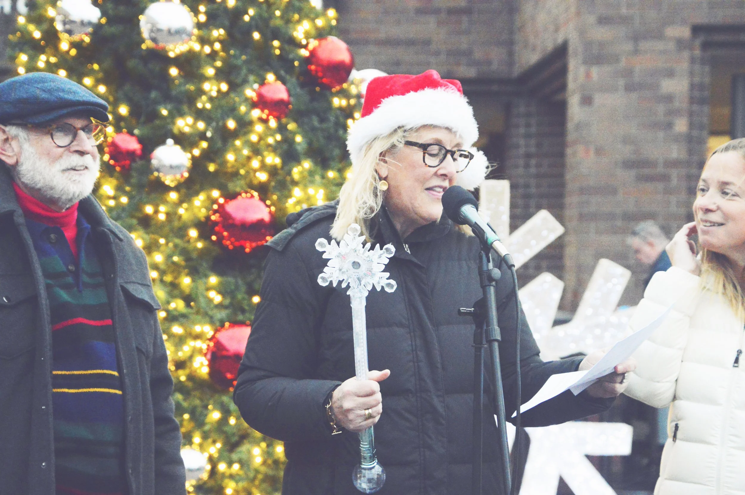 HOLIDAY LIGHTING 2025 (11).JPG