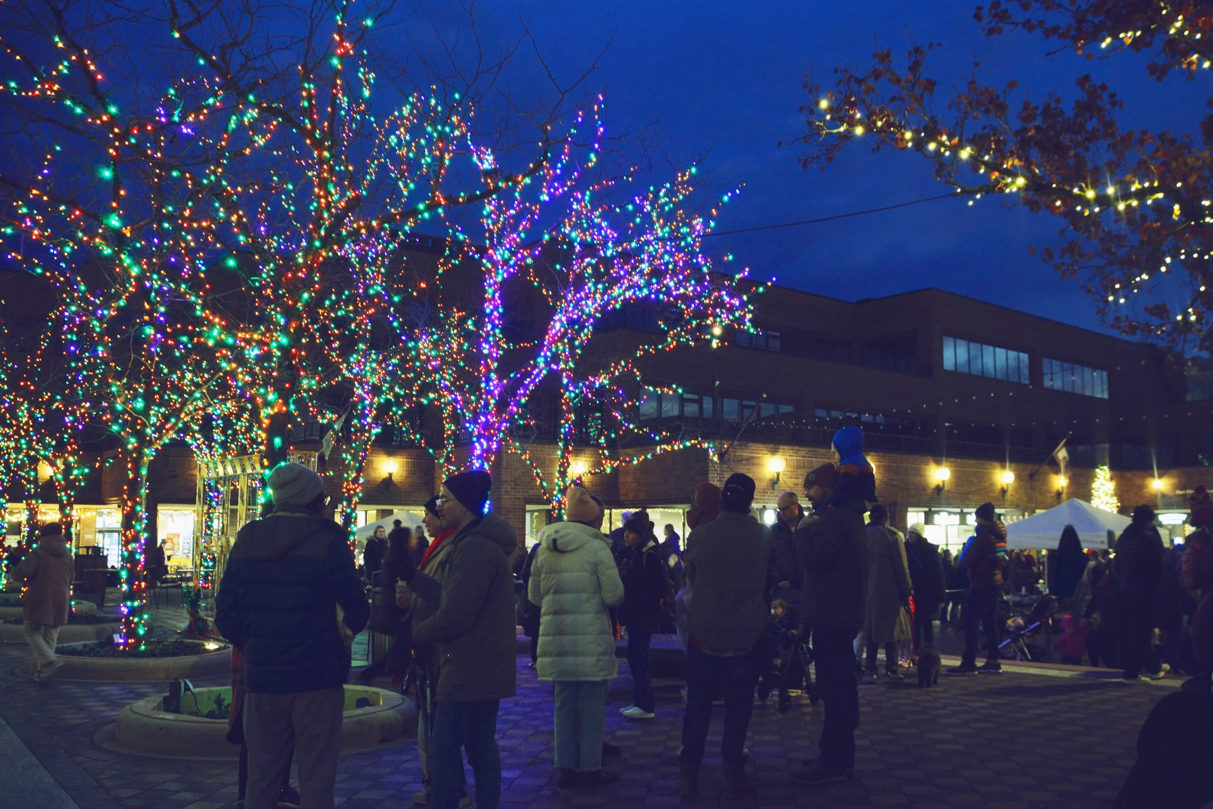 HOLIDAY LIGHTING 2025 (56).JPG