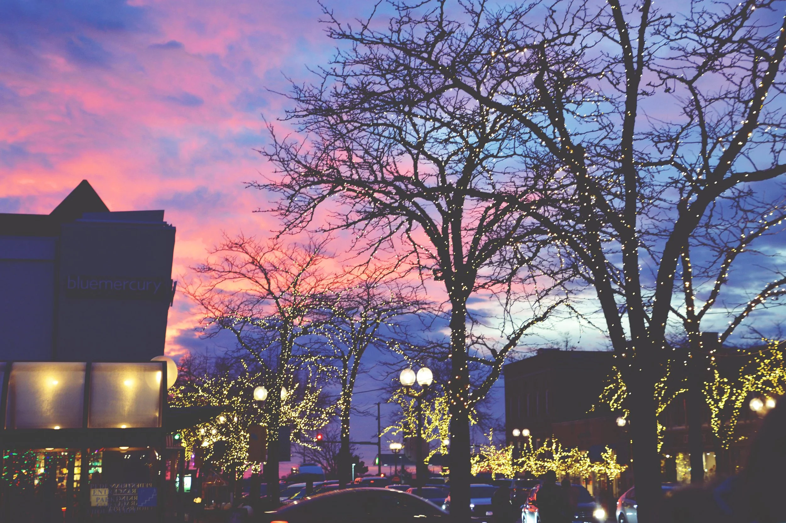 HOLIDAY LIGHTING 2025 (42).JPG