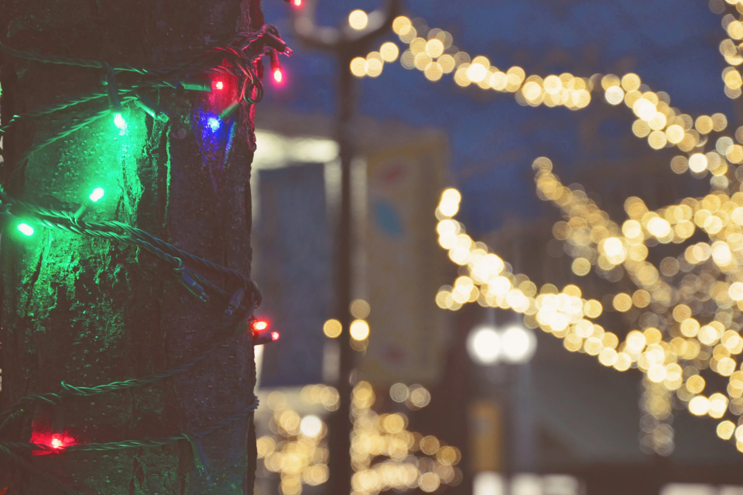 HOLIDAY LIGHTING 2025 (51).JPG