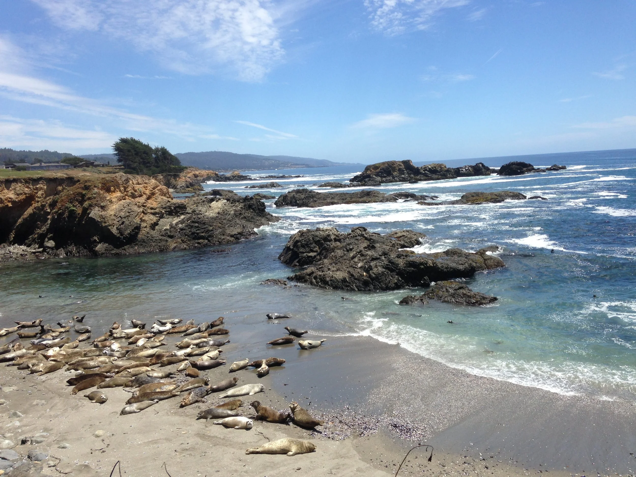 Del Mar Point Sea Ranch Location — The Driftwood @ The Sea Ranch
