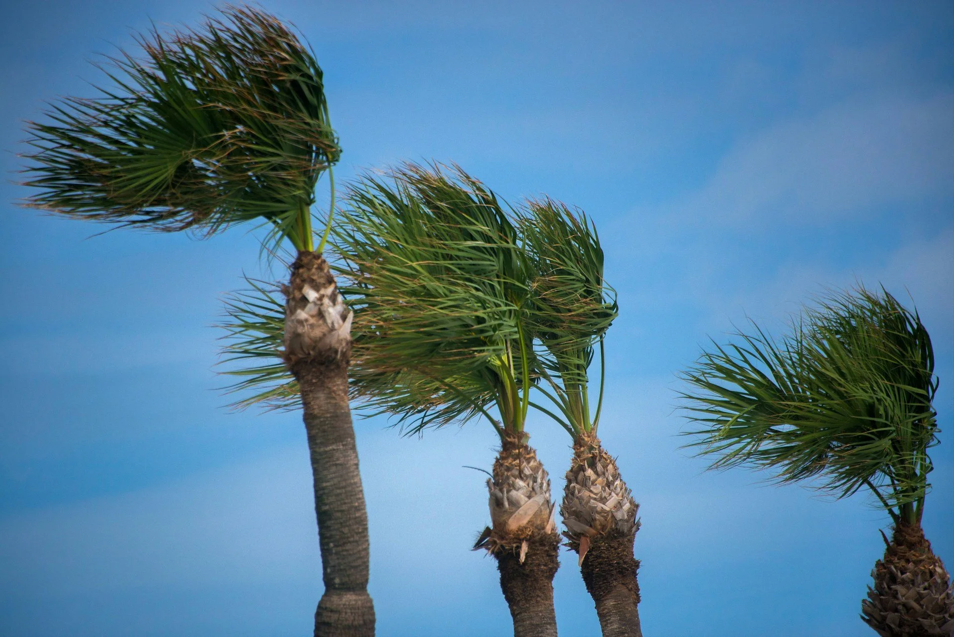 Inside Texas Hurricane Damage Claims for Commercial Properties