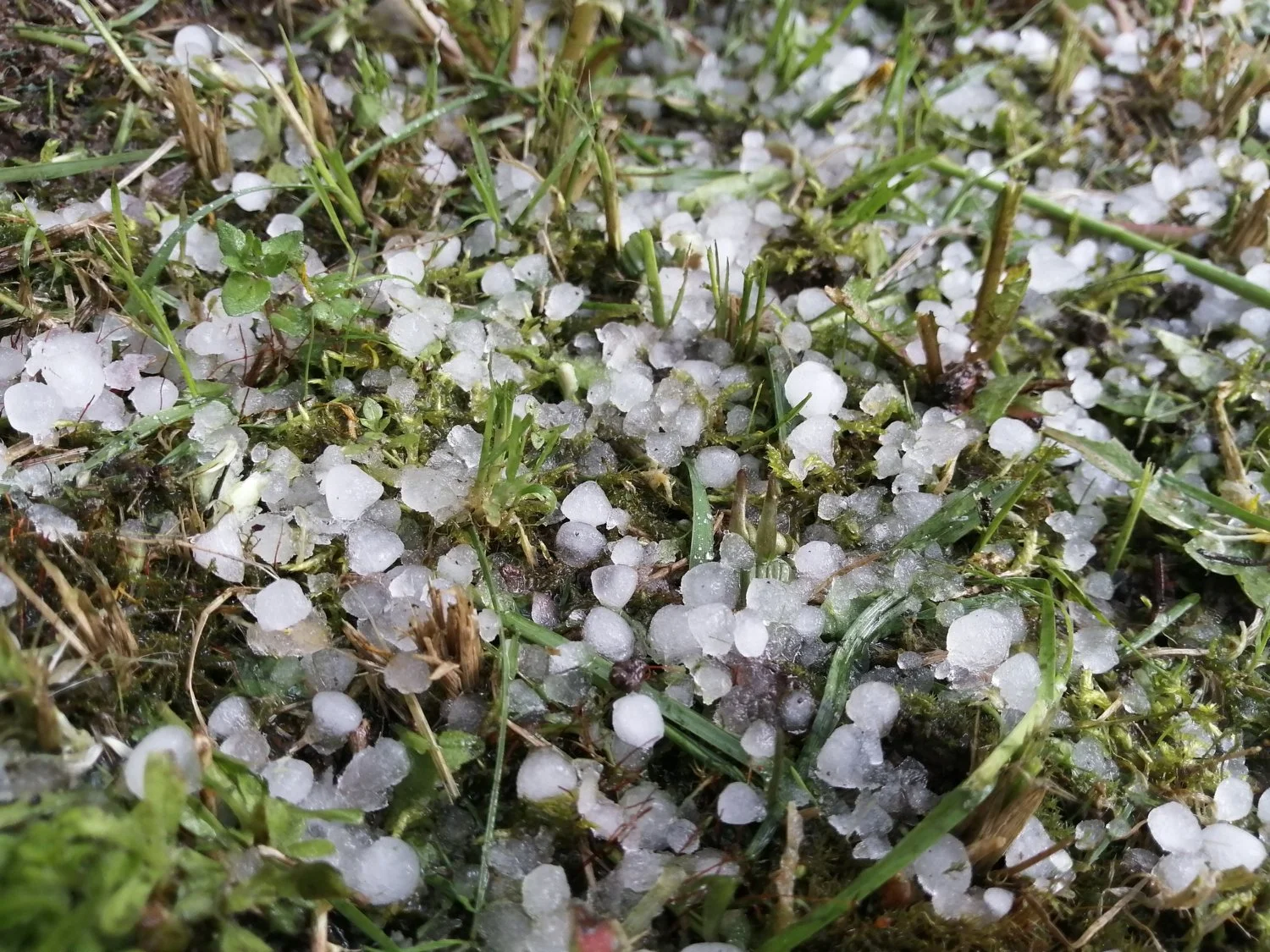 Tornado Vs. Hailstorm Damage in Texas: What Policyholders Need to Know