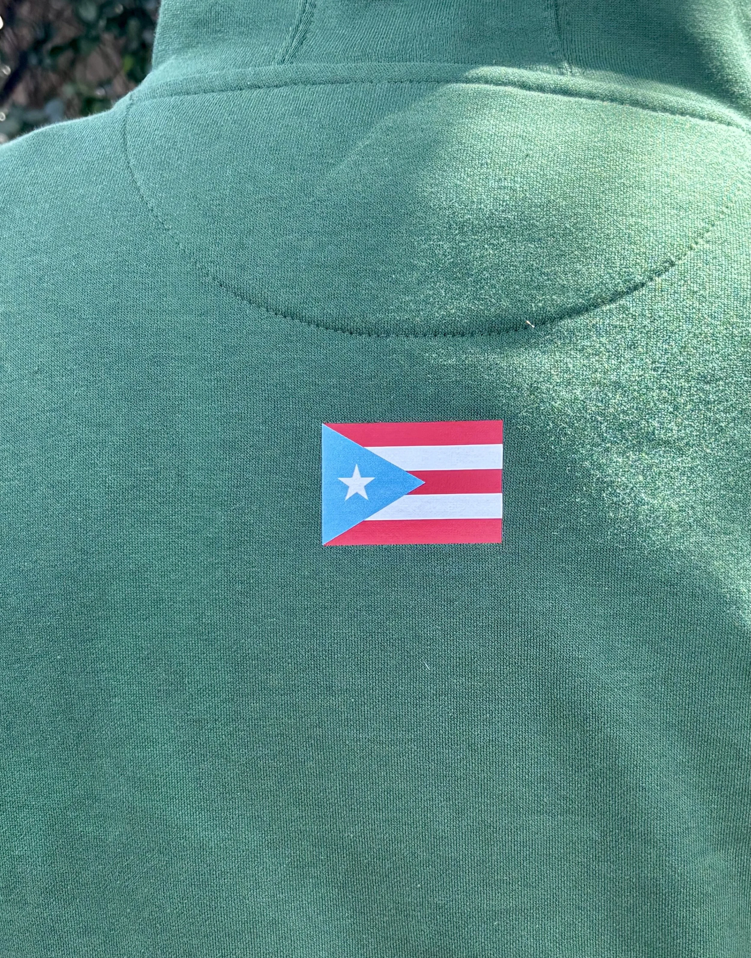 Coqui hoodie back view.jpeg