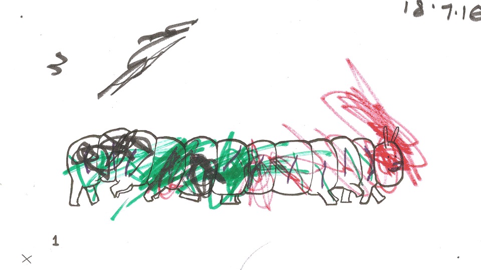 caterpillarcolours.gif