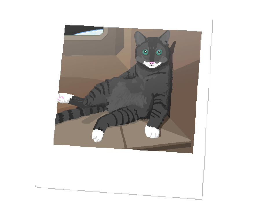 CroppedBlackCat.gif