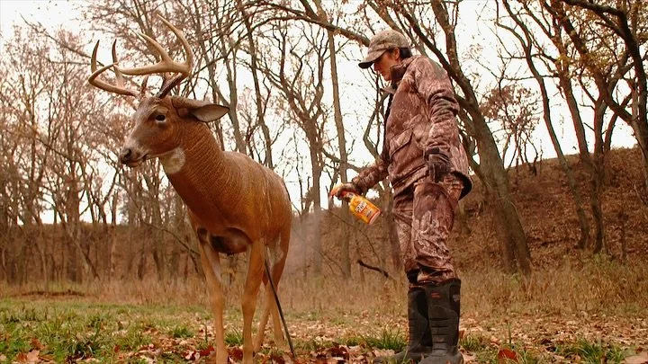 Decoy hunts are hands-down my favorite! 🦌🏹 This Kansas buck marched right in last season &mdash; and I&rsquo;m hoping for a repeat this year!

I usually set my decoy about 15 yards from the blind and always hit it with @wildliferesearchcenter Scent
