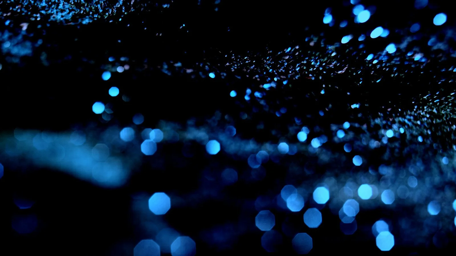 OLED (01231).jpg