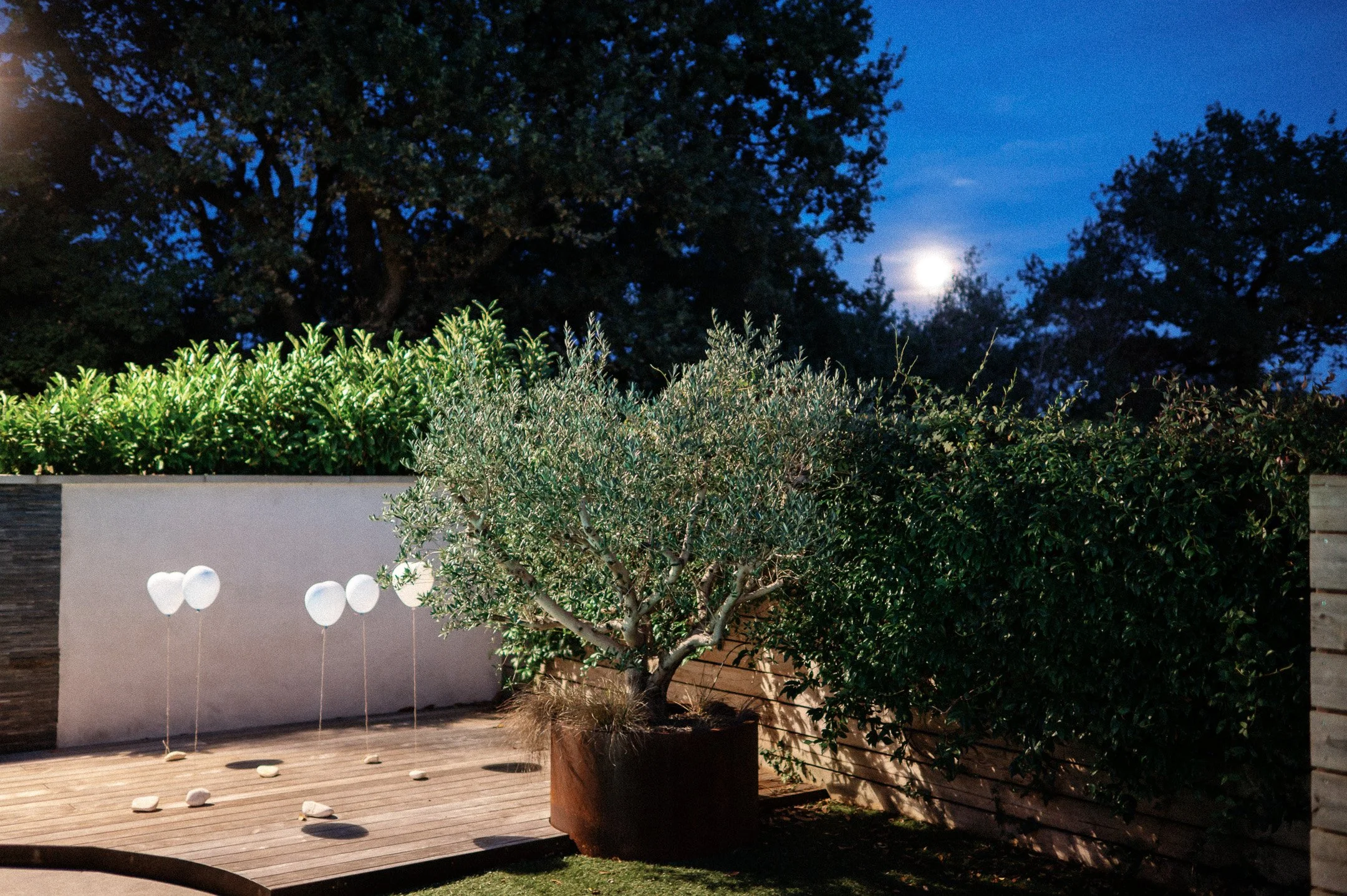 249.EGP_7637 - © Erol Gum.jpg