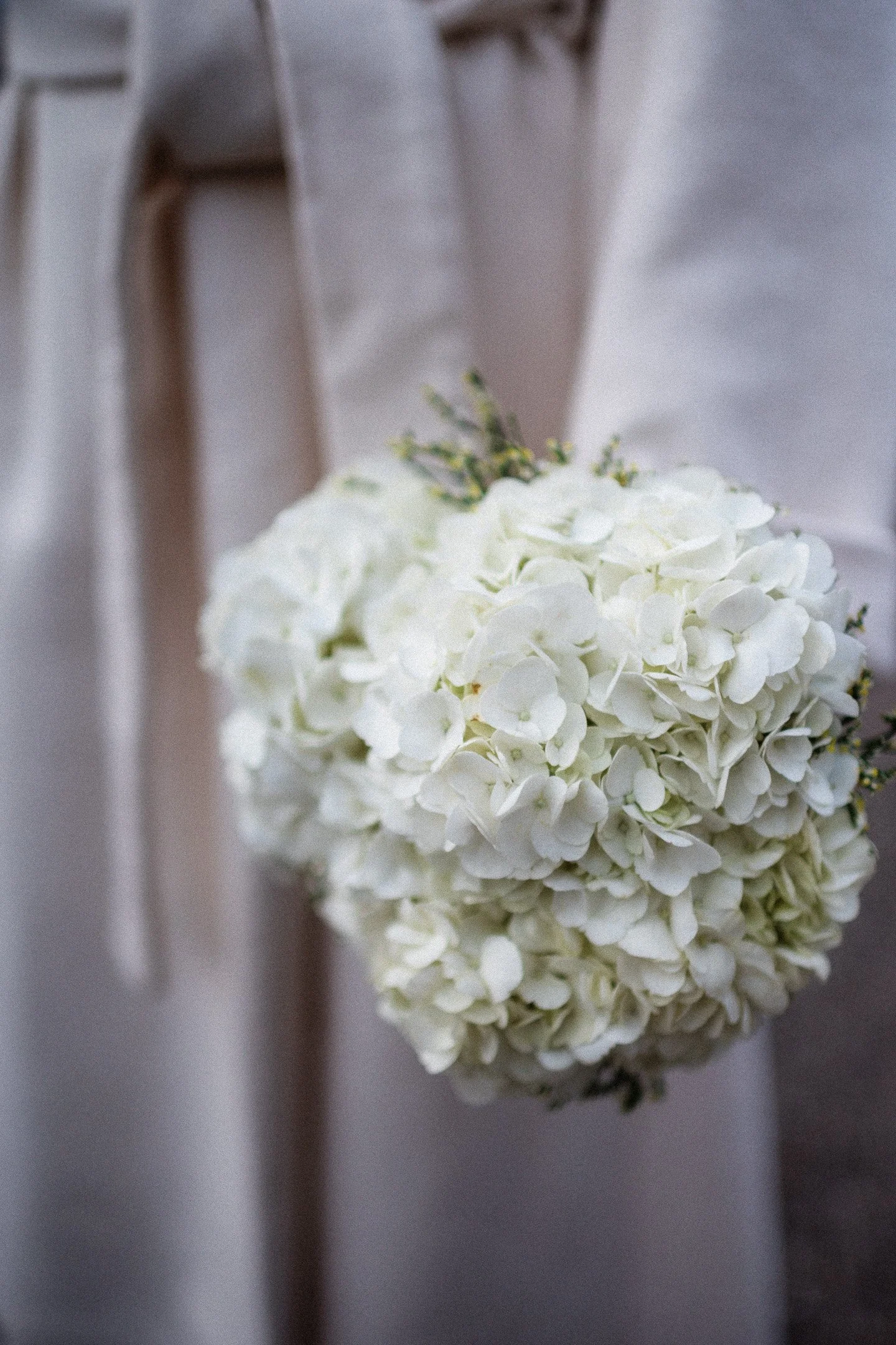 5.DSC_2651 - © Erol Gum.jpg