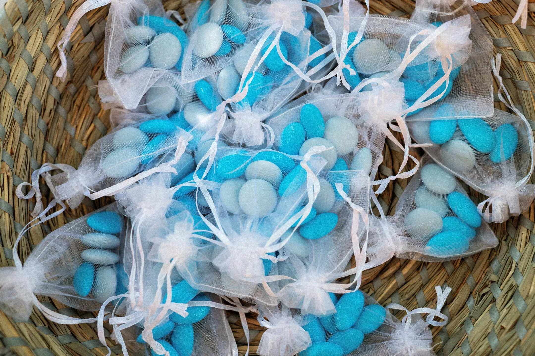 154.EGP_7331 - © Erol Gum.jpg