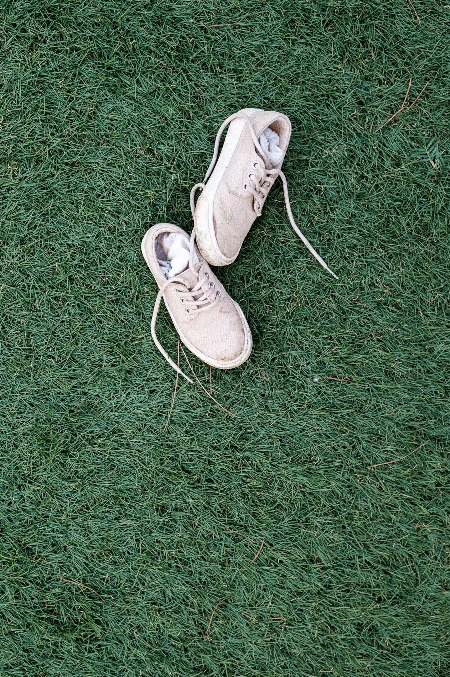 182.EGP_7386 - © Erol Gum.jpg