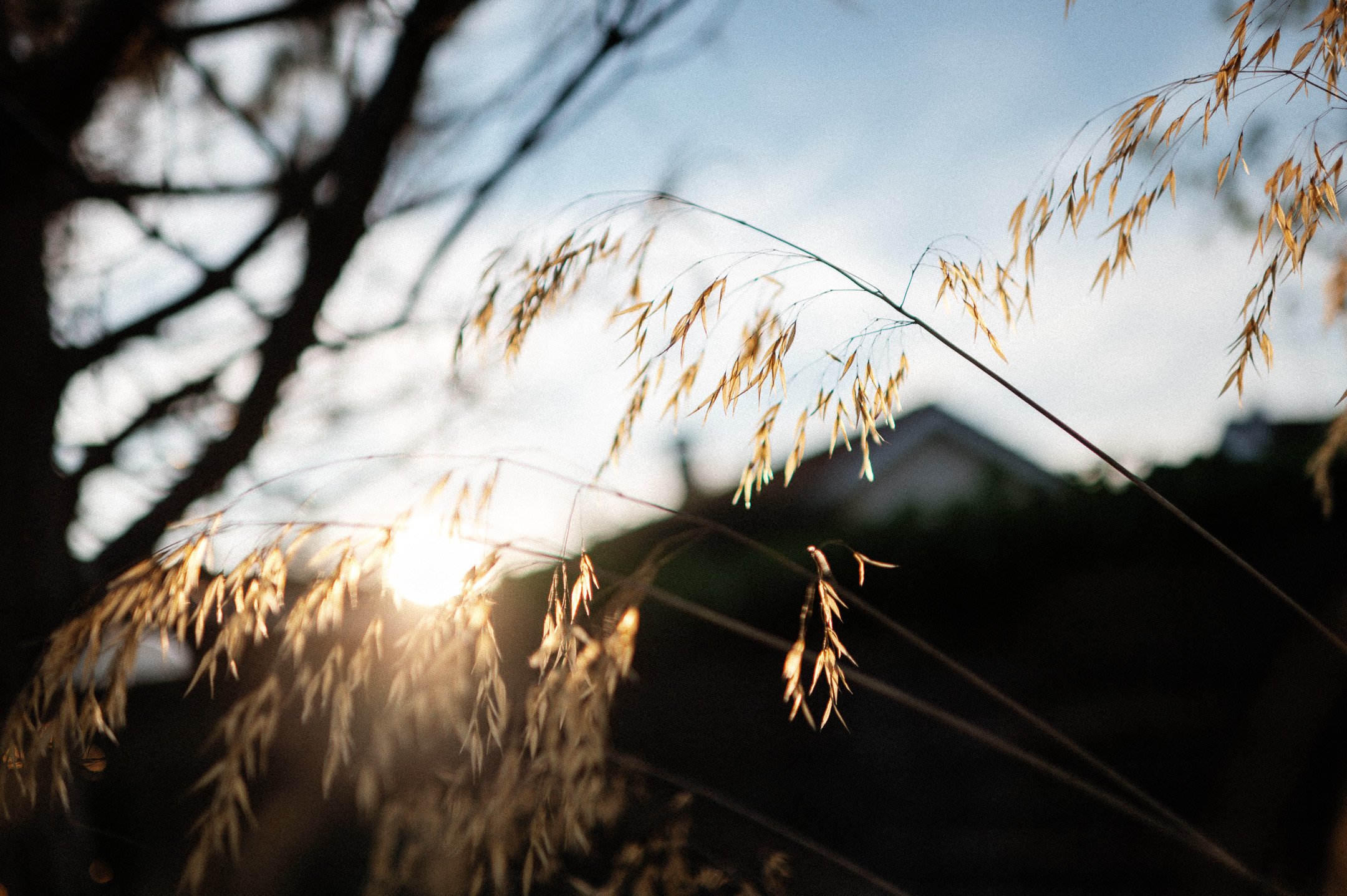 218.EGP_7500 - © Erol Gum.jpg