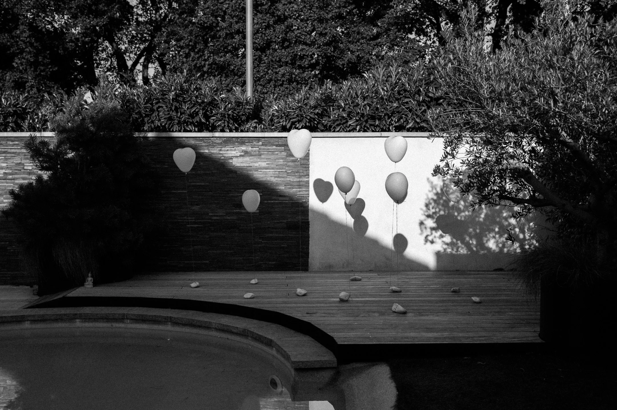 185.EGP_7391 - © Erol Gum.jpg