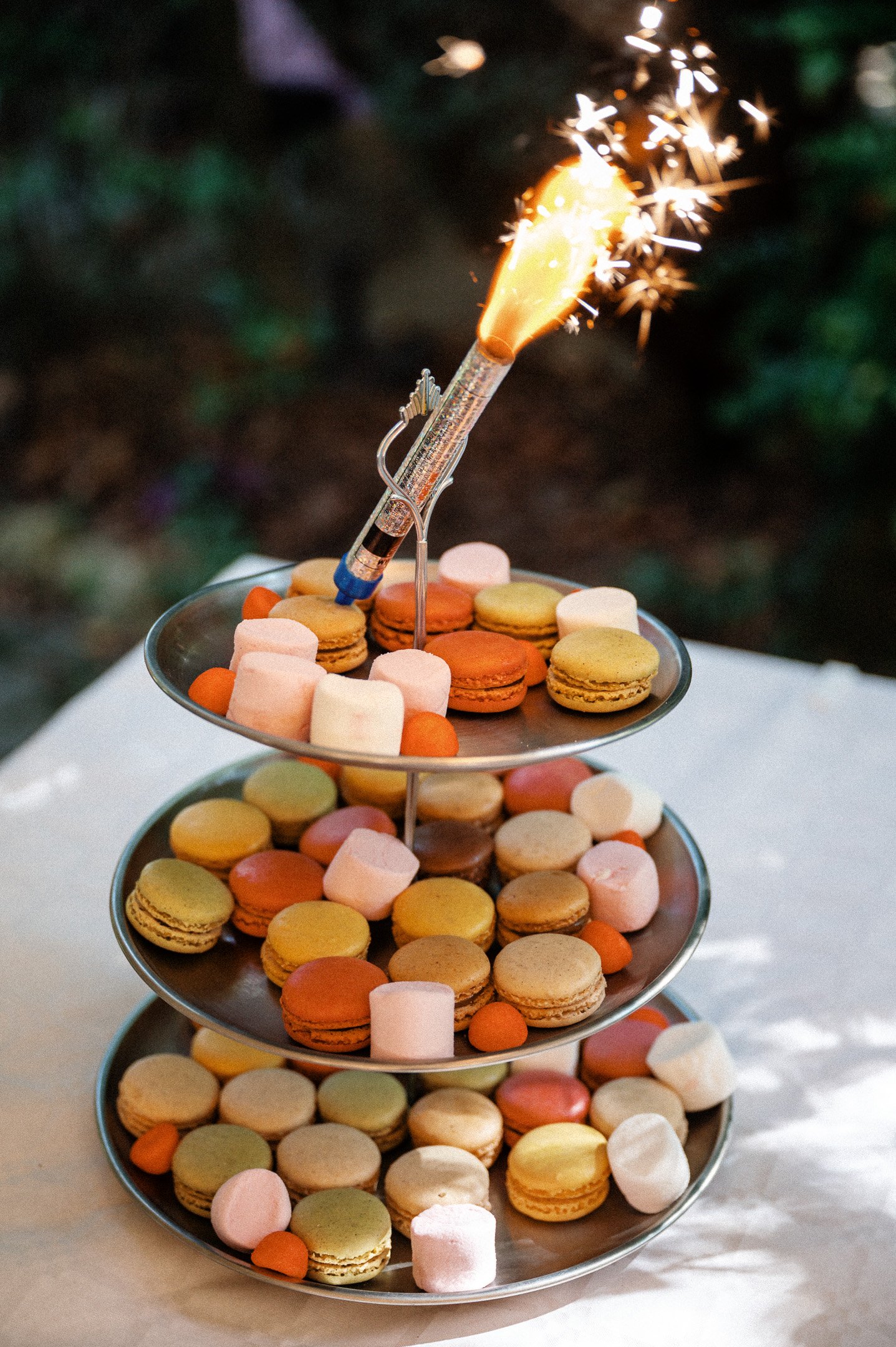 173.DSC_7979 - © Erol Gum.jpg