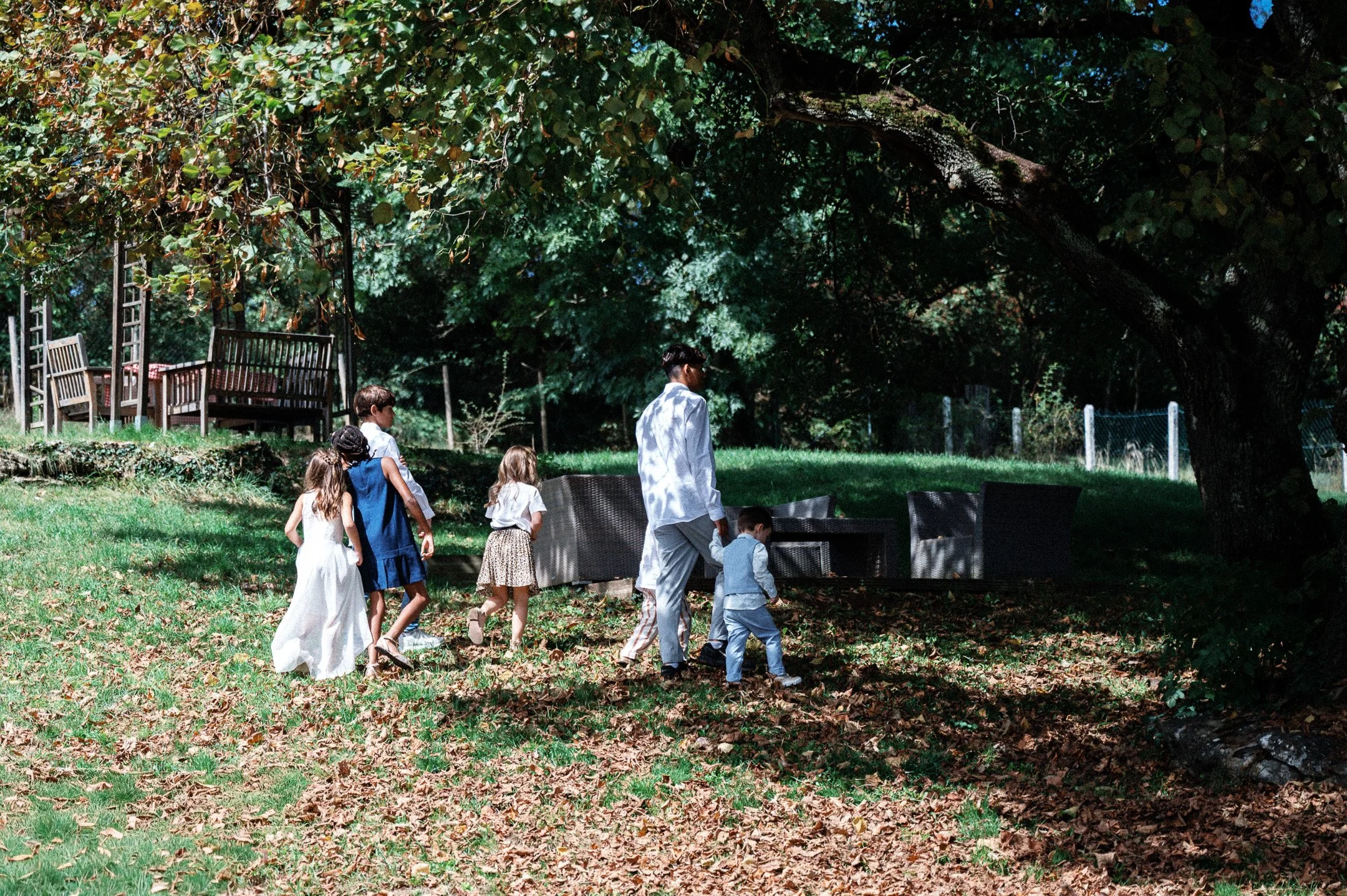 168.DSC_7971 - © Erol Gum.jpg