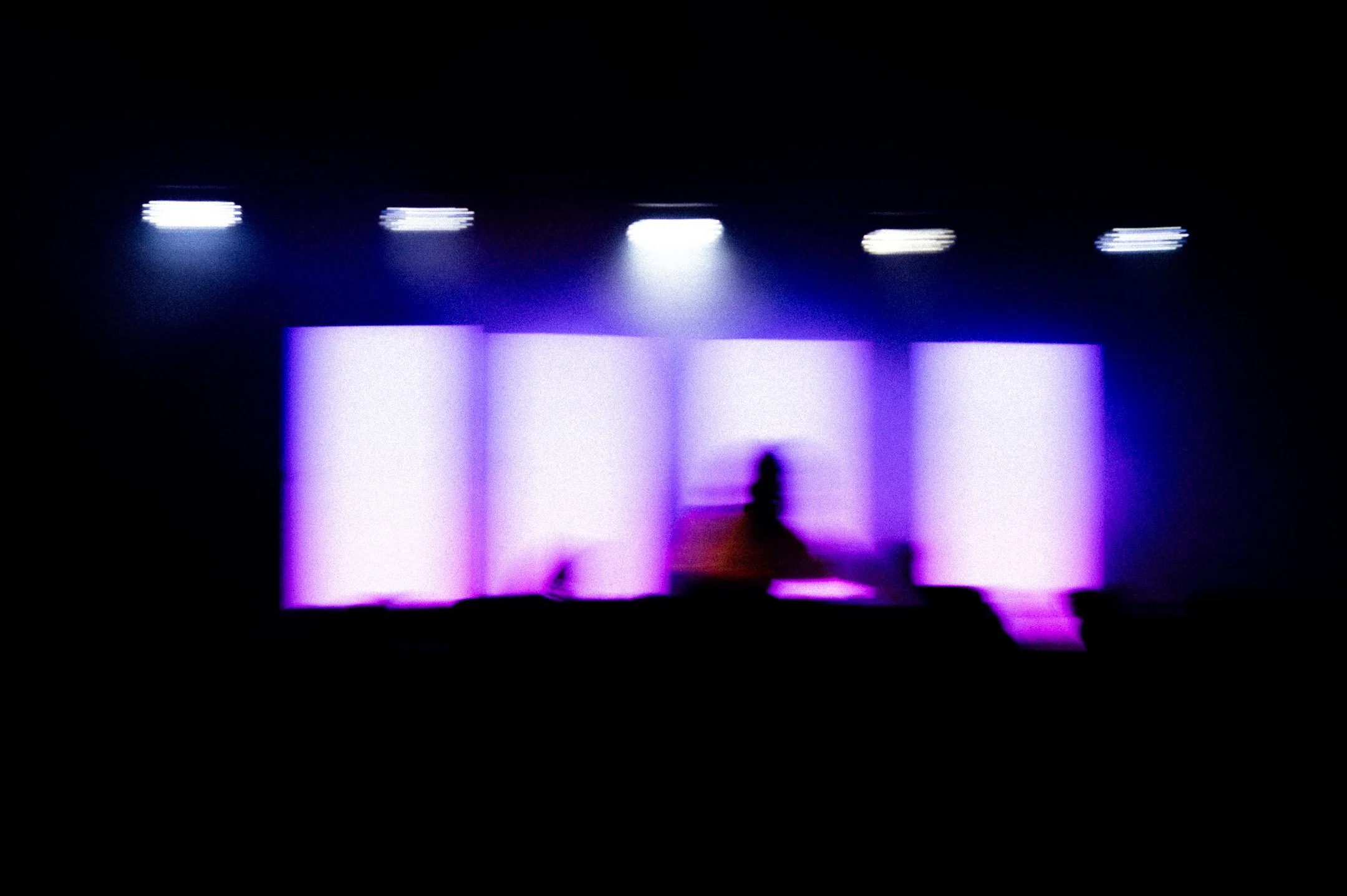 69.DSC_1934 - © Erol Gum.jpg