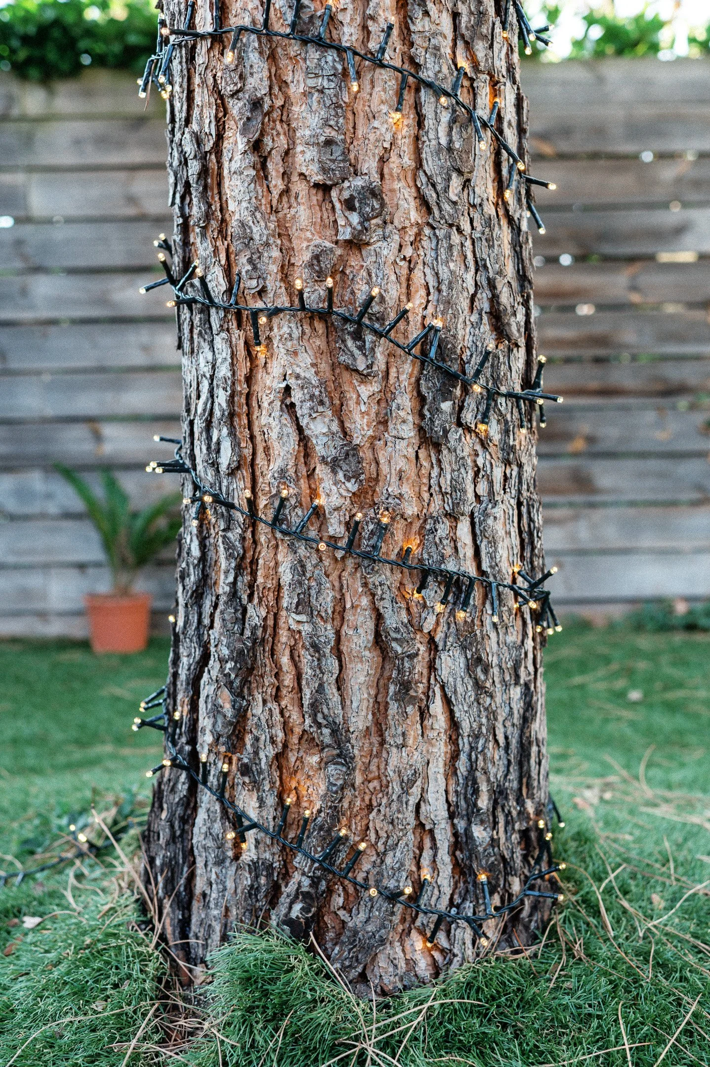 184.EGP_7390 - © Erol Gum.jpg