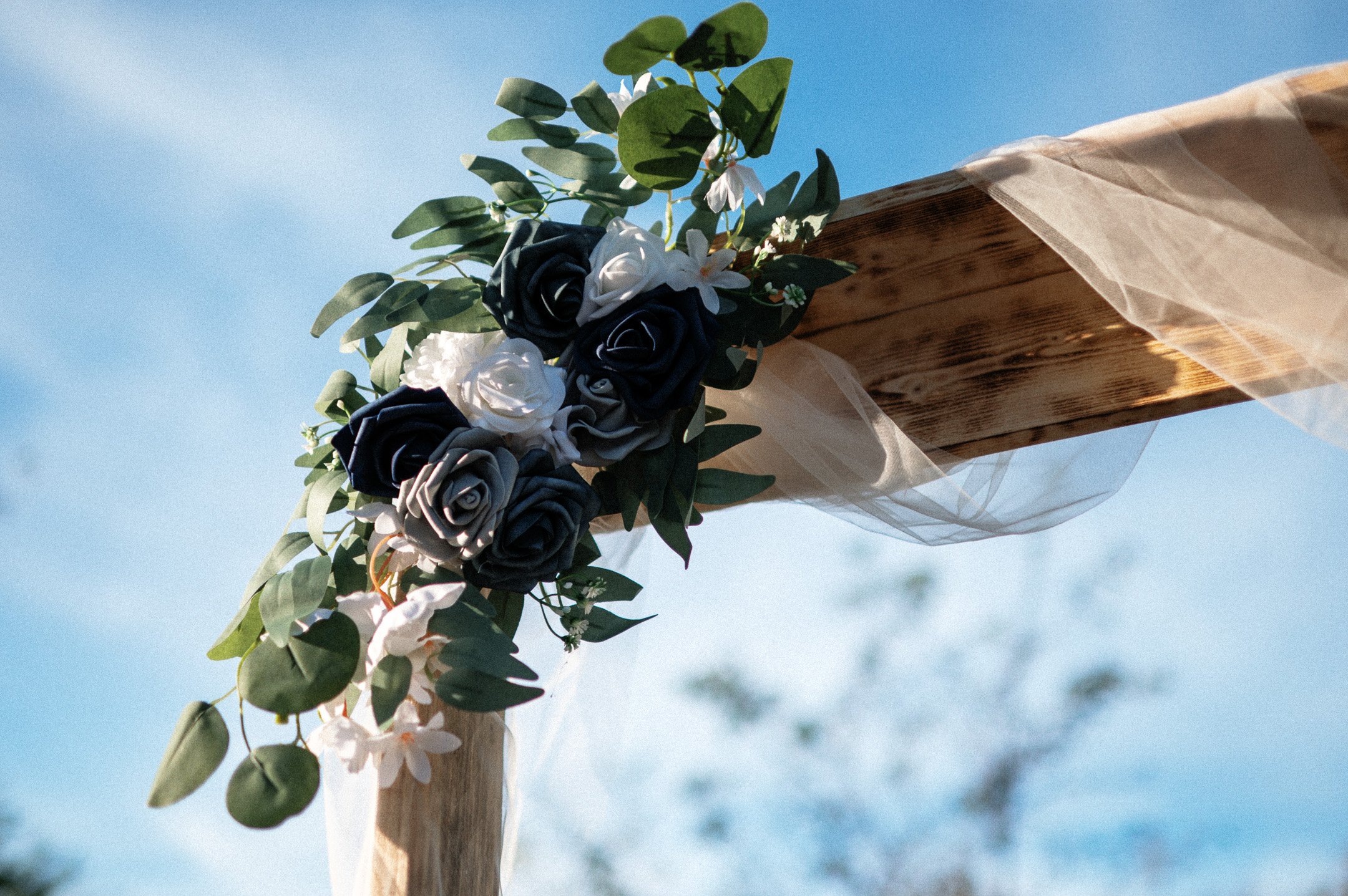 196.EGP_7418 - © Erol Gum.jpg