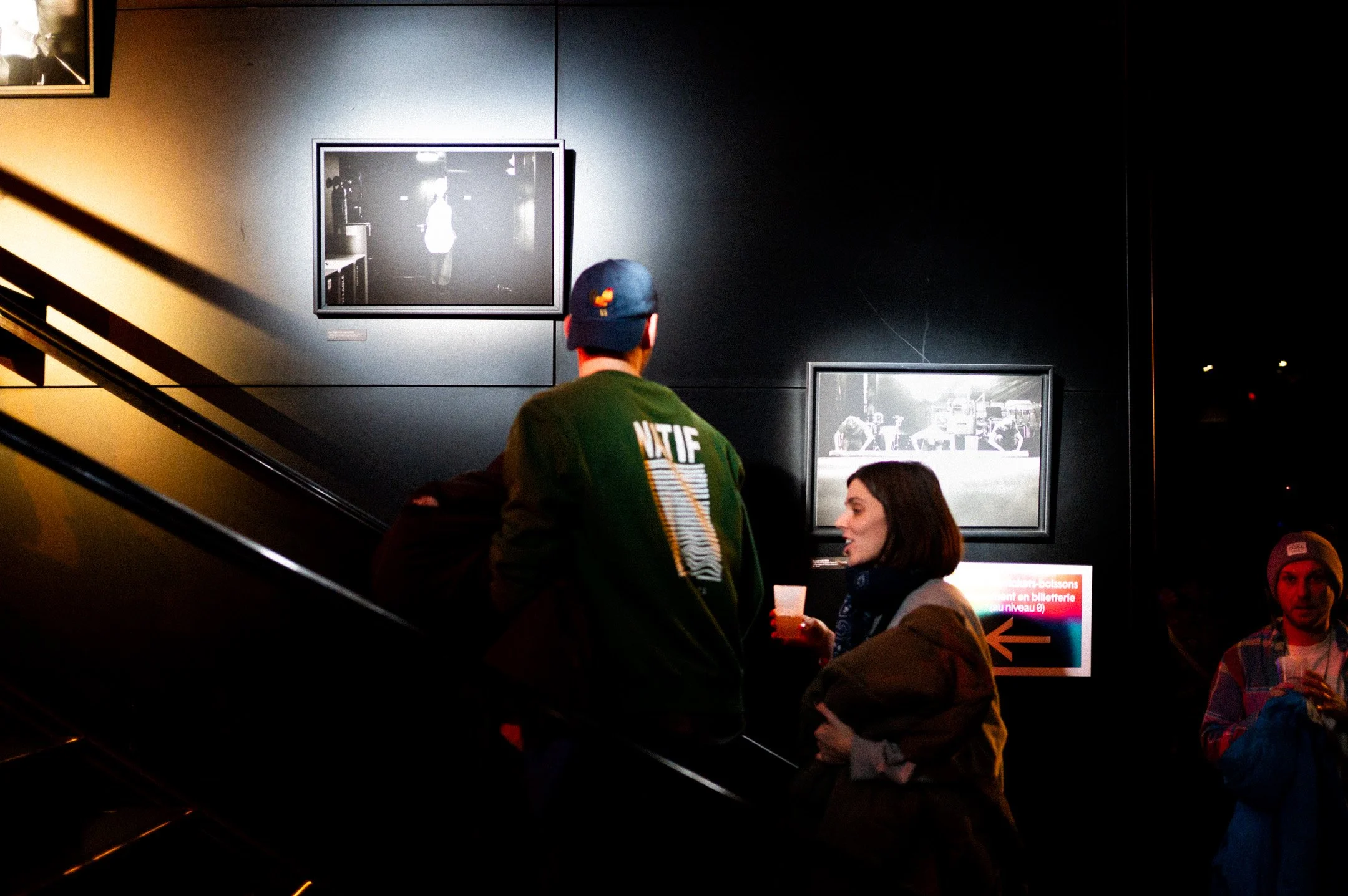 41.DSC_1781 - © Erol Gum.jpg