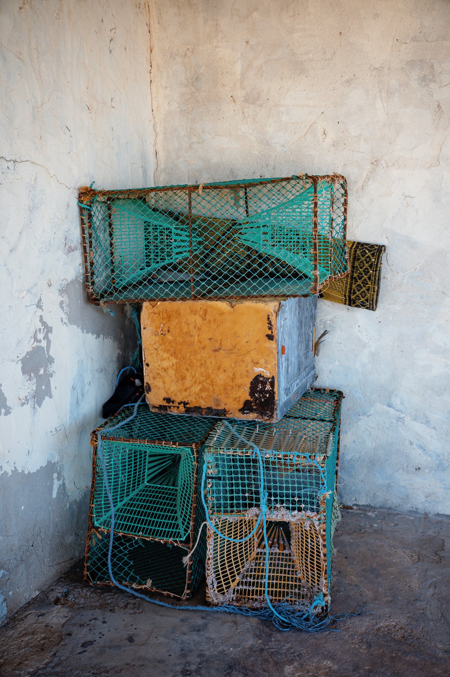 DSC_4845-© Erol Gum.jpg