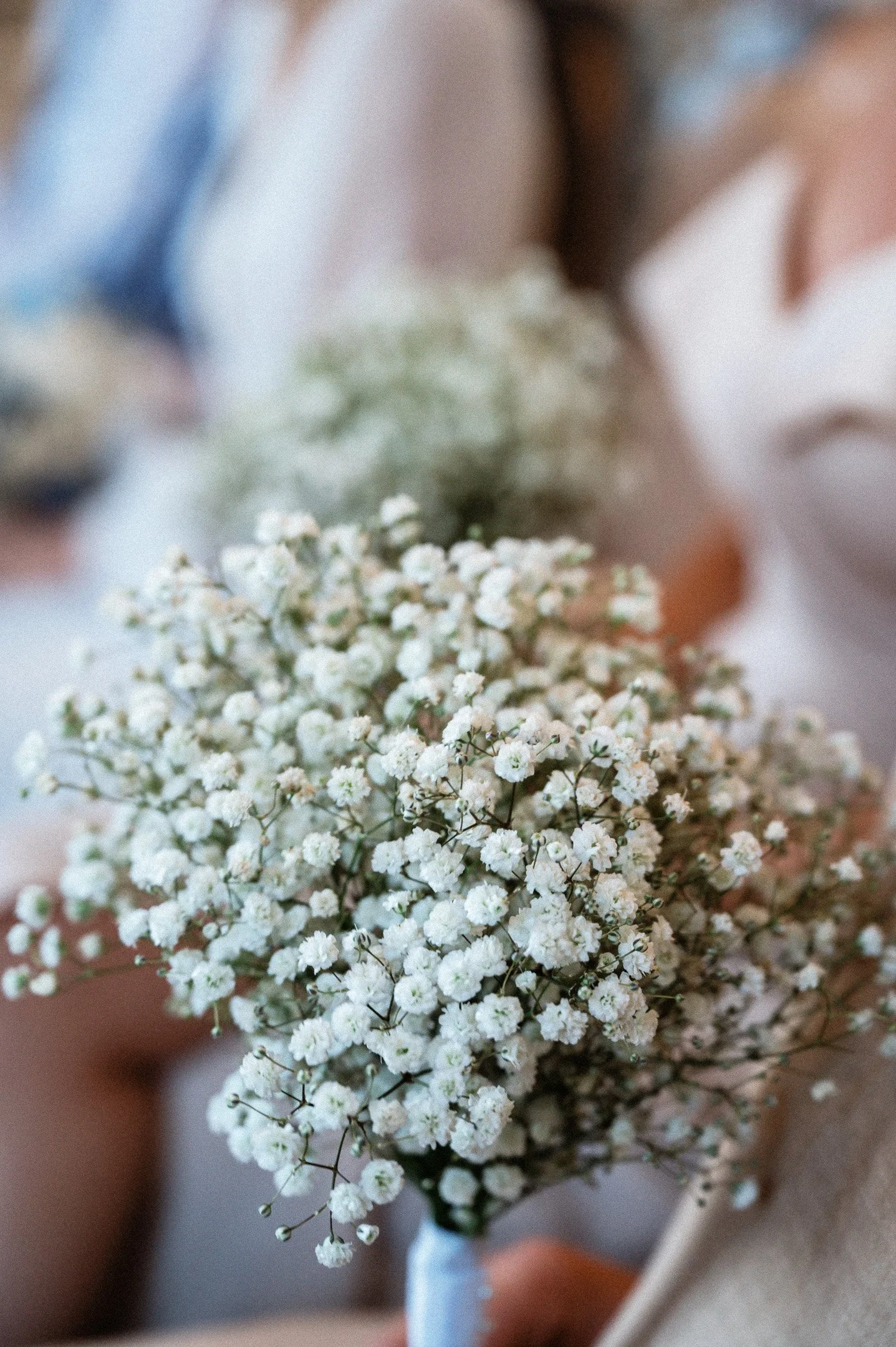 32.DSC_7209 - © Erol Gum.jpg