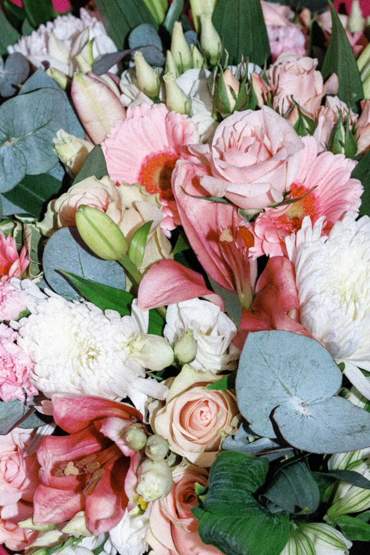 170.DSC_4364 - © Erol Gum.jpg