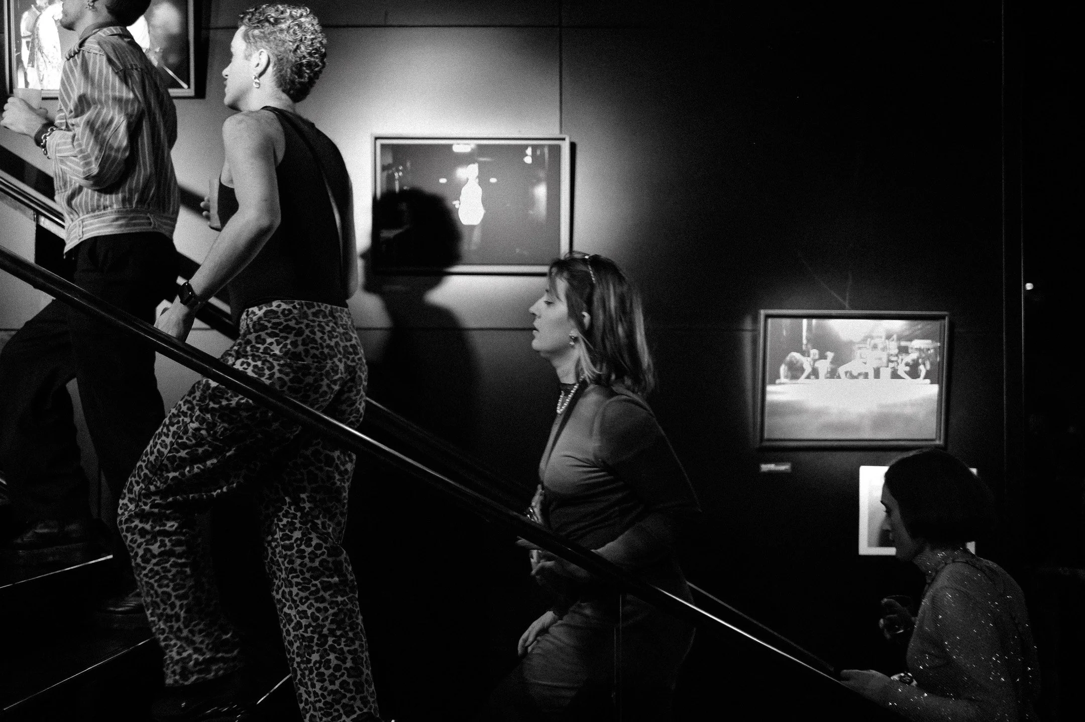 42.DSC_1784 - © Erol Gum.jpg