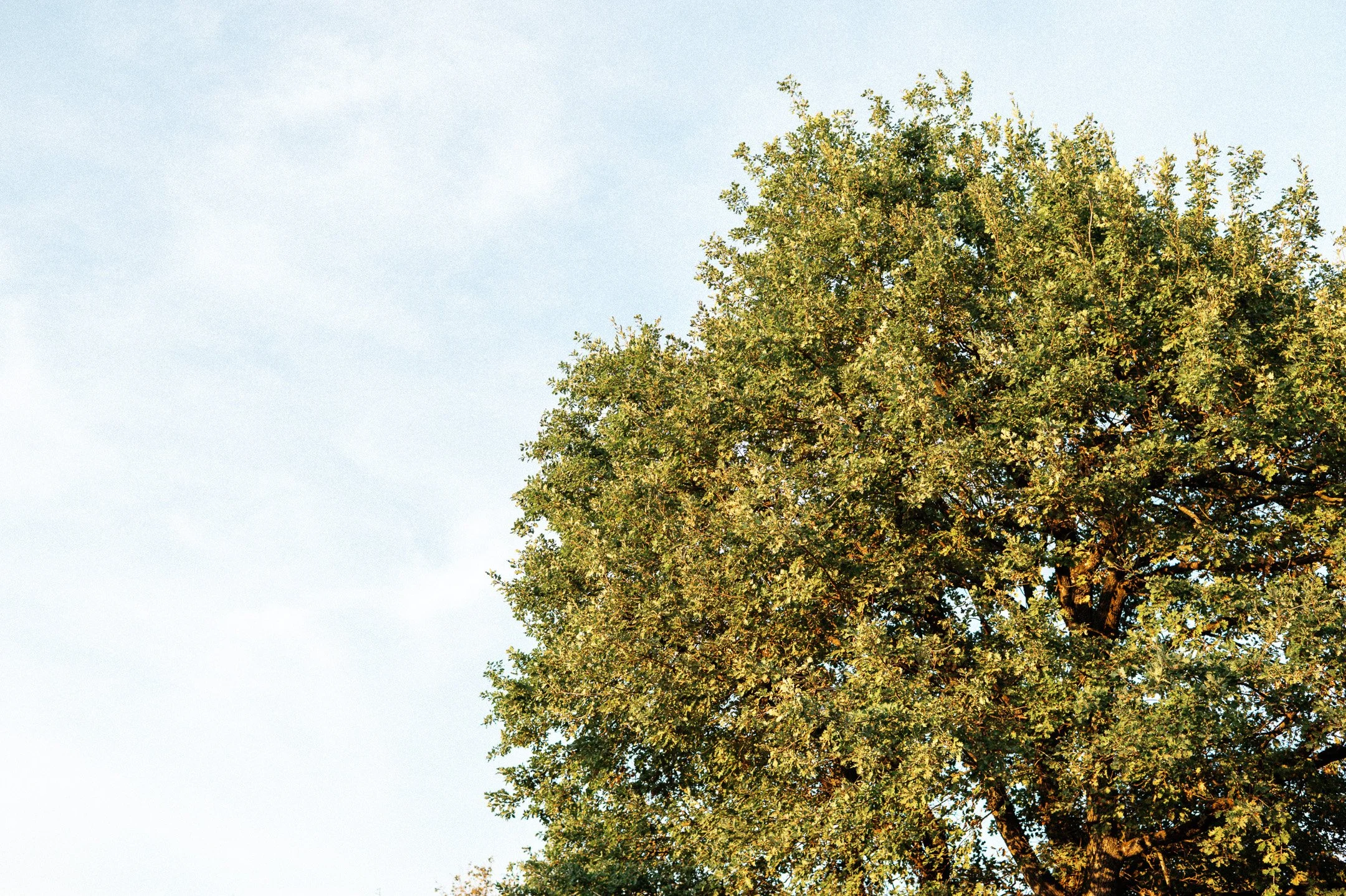 227.EGP_7549 - © Erol Gum.jpg