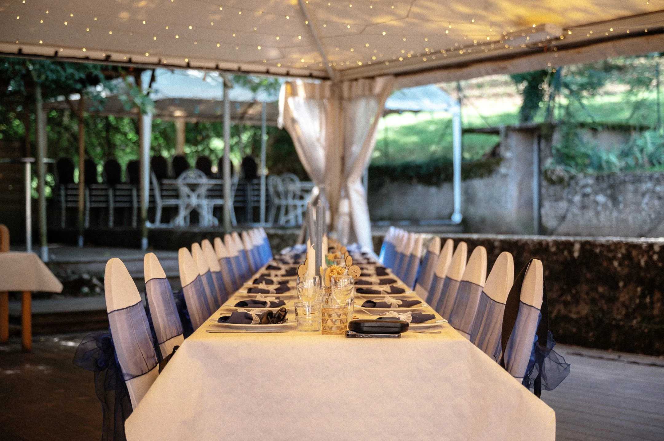 161.DSC_7964 - © Erol Gum.jpg